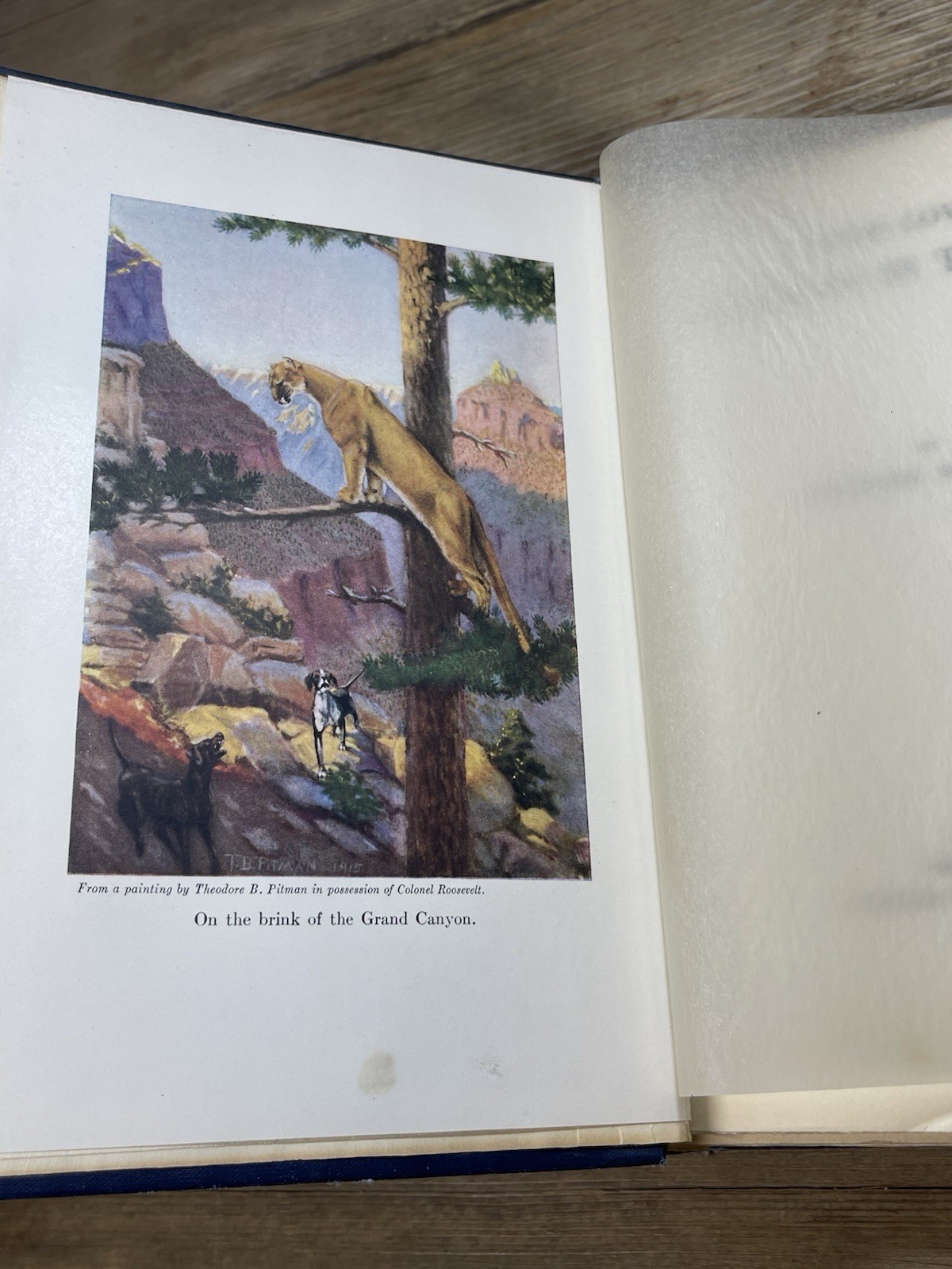 A Book Lovers Holidays in the Open – Ex-Lib Theodore Roosevelt HC Scribners 1916