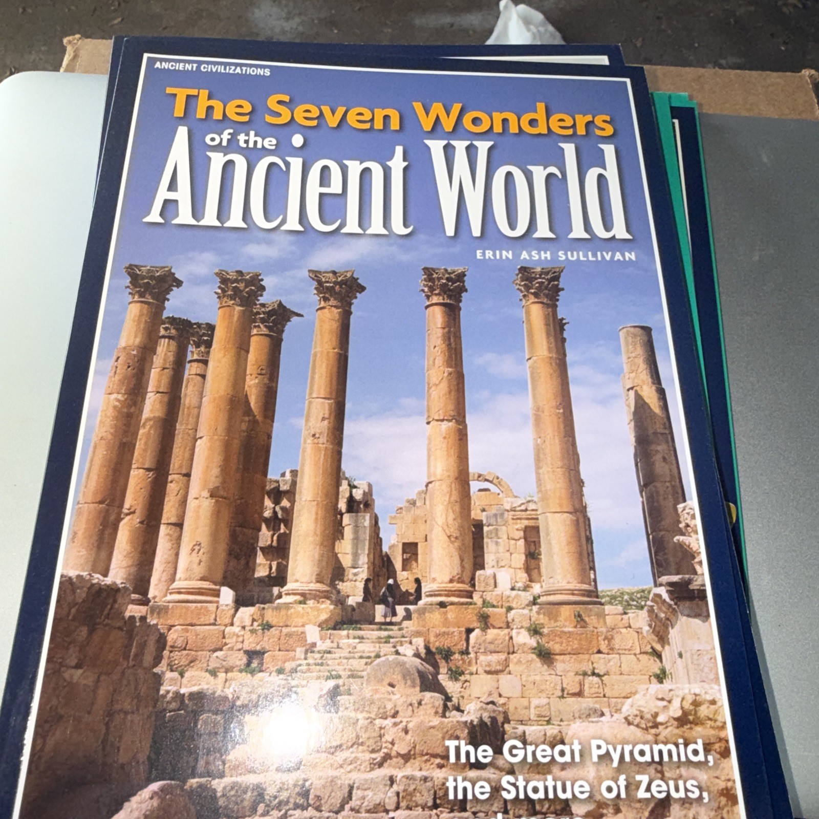 17 Benchmark Educational Book Various Titles See Photos SB Box 1