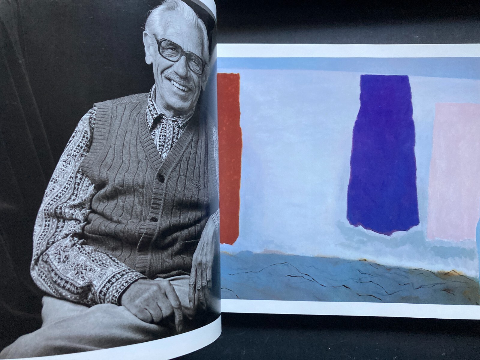 50 Northwest Artists : A Critical Selection… by Bruce Guenther 1983 PB G!