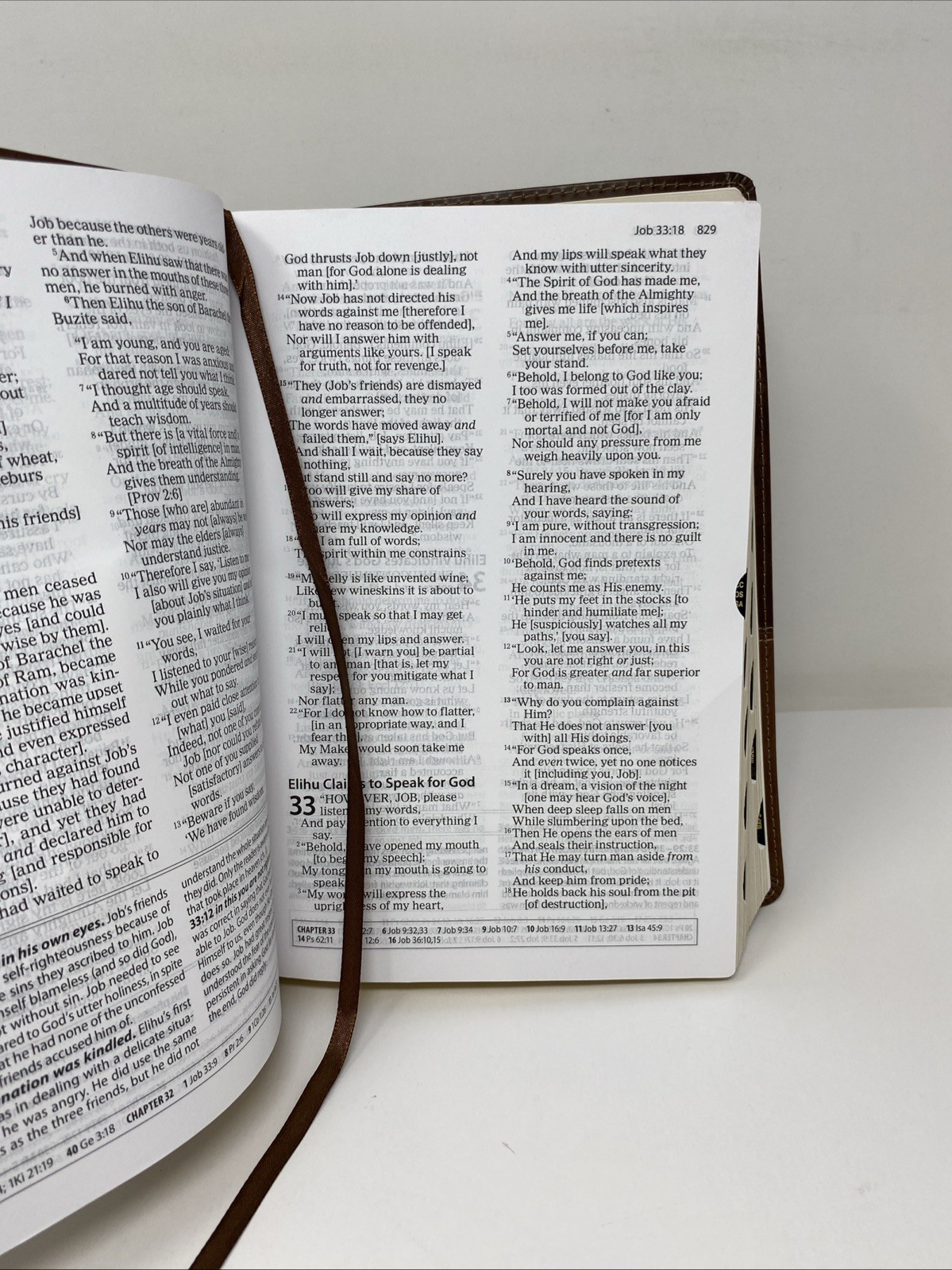 Amplified Study Bible Leathersoft Brown Thumb Indexed 2017 Zondervan