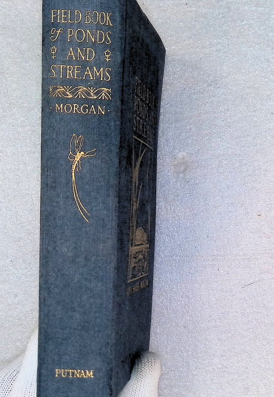 Field Book of Ponds and Streams Ann Haven Morgan 1930 First Ed Illustrated