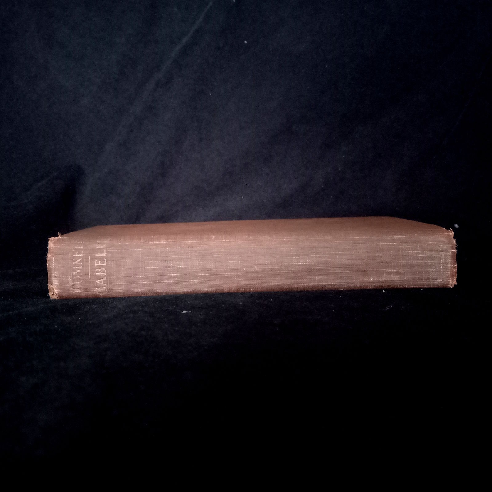 Domnei by James Branch Cabell, Robert M. McBride & Co 1925, Hardbound, 4th print