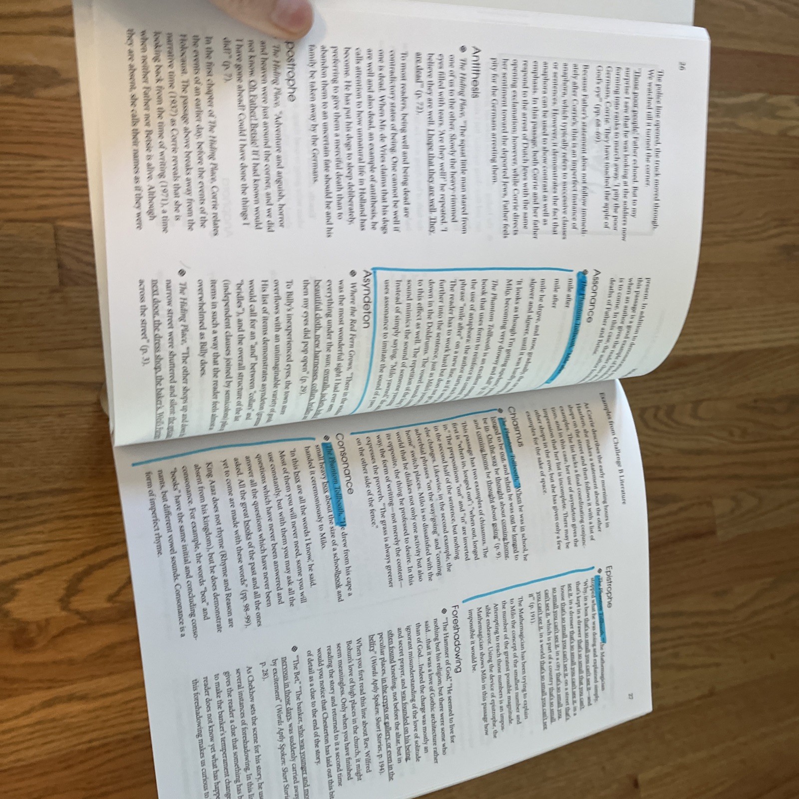 Wakeful Words : Classical Rhetorical Techniques in Literature by Classical…