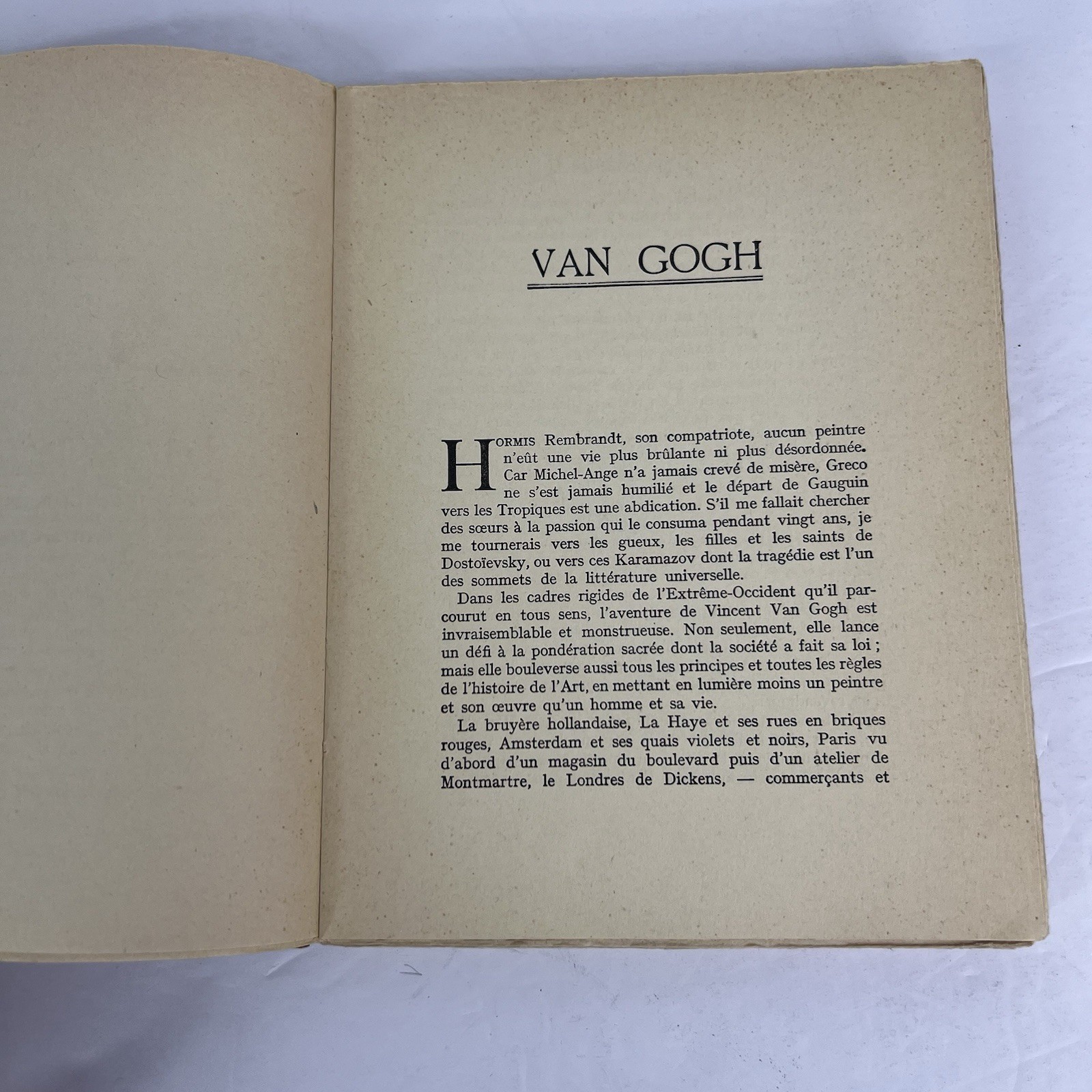Vintage 1925 Van Gogh by Paul Colin French Art Book 40 Heliogravure Plate Paris