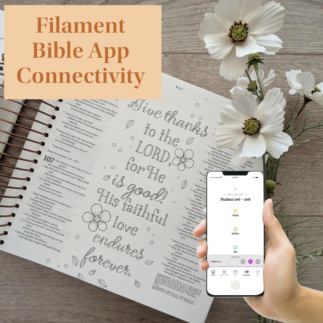 NLT DaySpring Inspire Illustrating Bible Filament Enabled