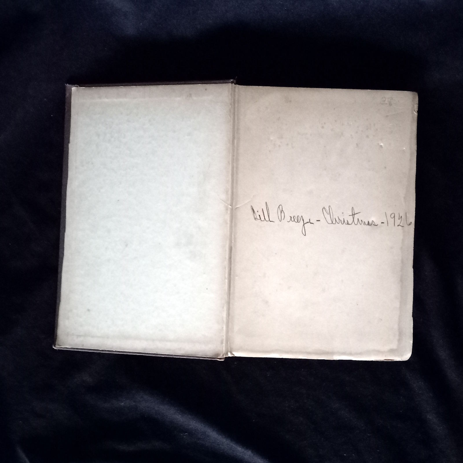 Domnei by James Branch Cabell, Robert M. McBride & Co 1925, Hardbound, 4th print