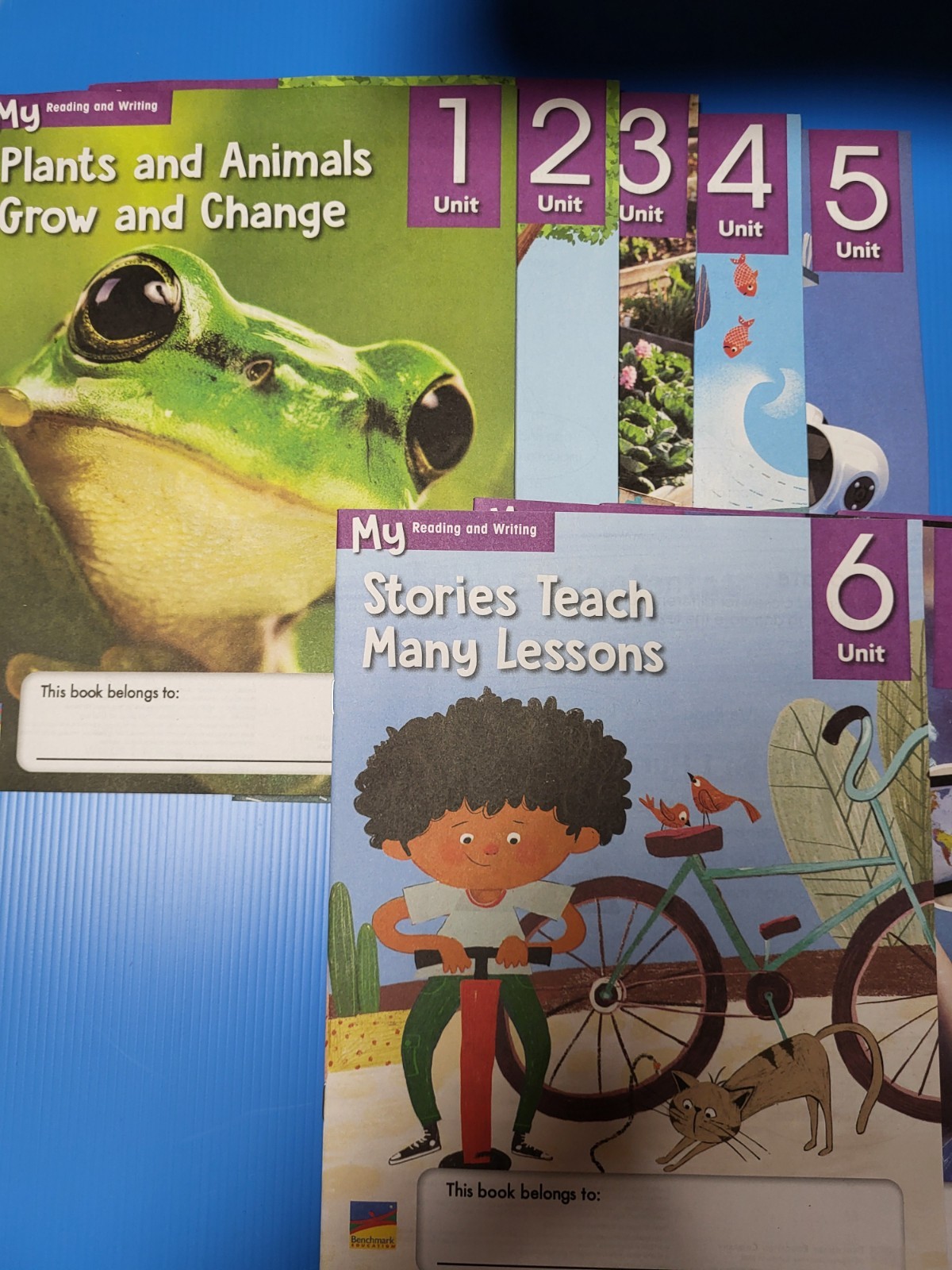 My Reading And Writing Grade 1 Units 1-10 Complete Set Benchmark Education New