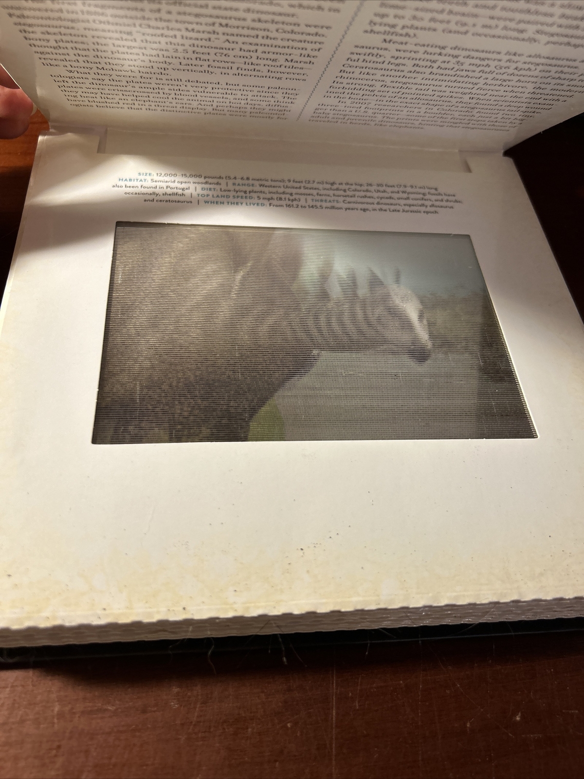 Photicular Ser.: Dinosaur : A Photicular Book by Kathy Wollard and Dan Kainen…