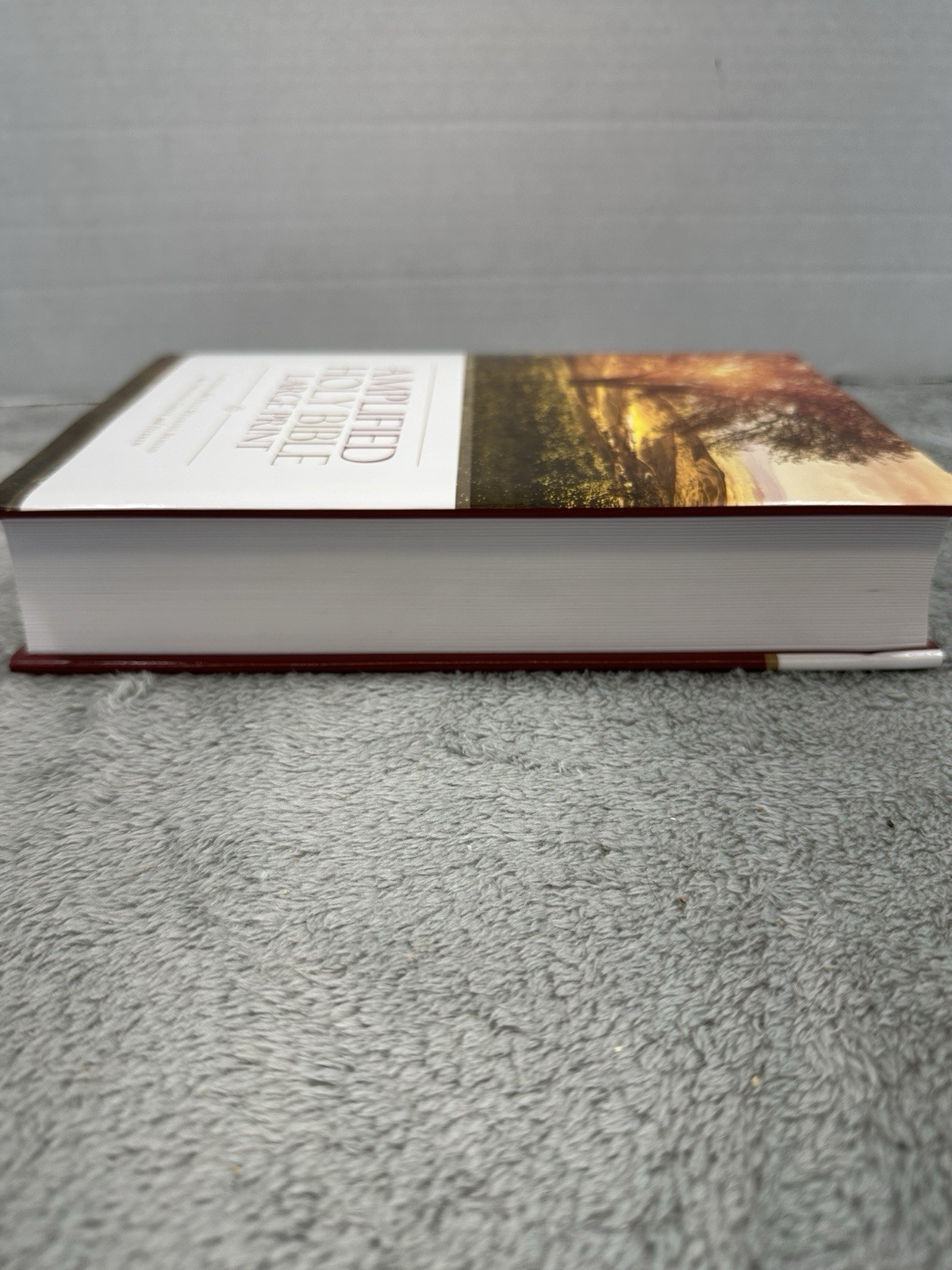 Amplified Holy Bible, Large Print: Captures the Full Meaning Behind the Original