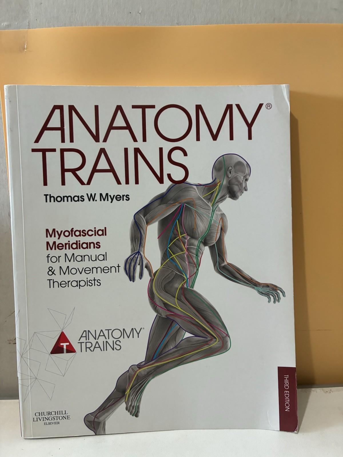 Anatomy Trains: Myofascial Meridians for Manual and Movement Therapists by Myers