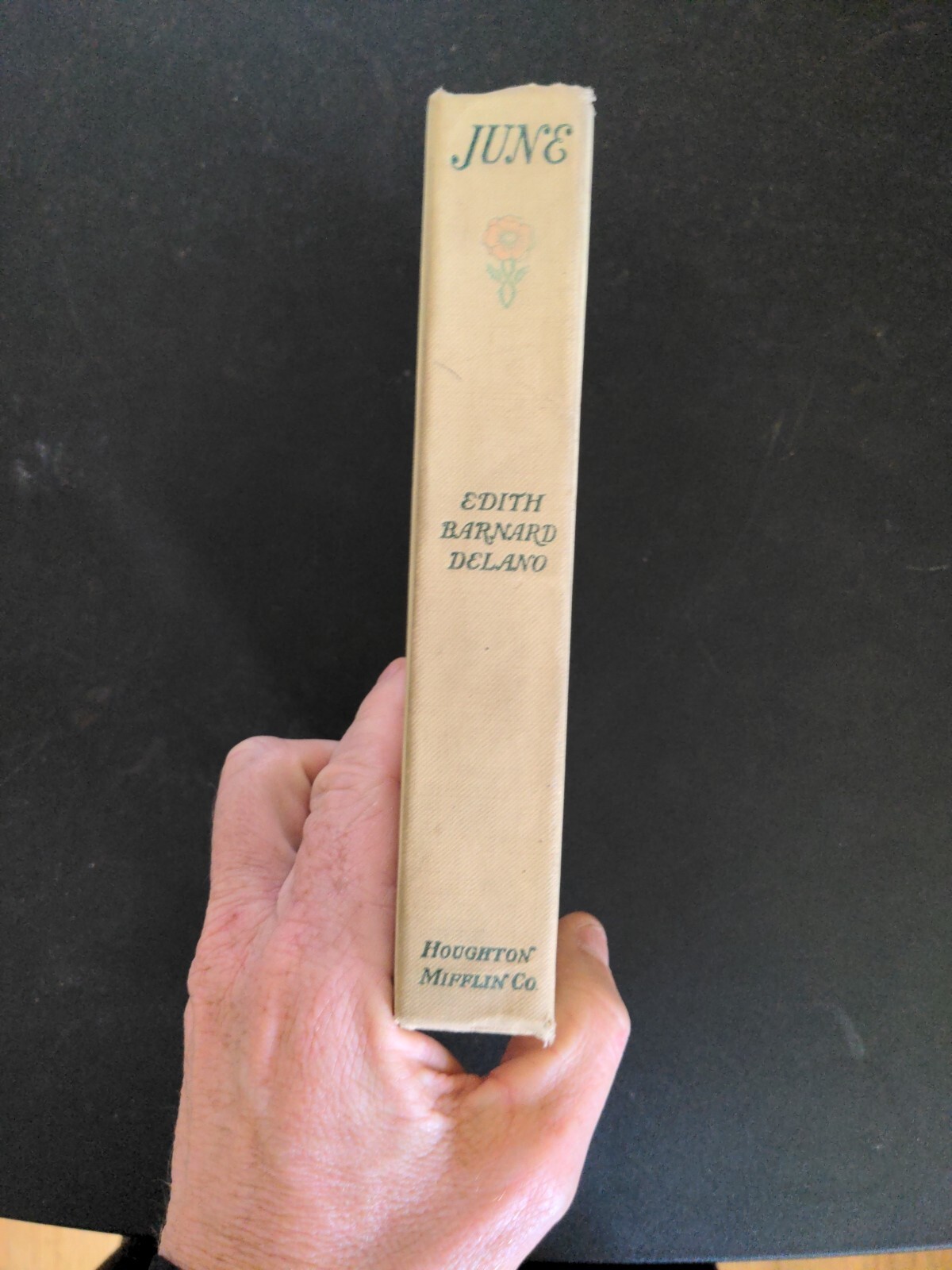 June 1916 By Edith Barnard Delano 1st Ed. HC Houghton Miffin Company