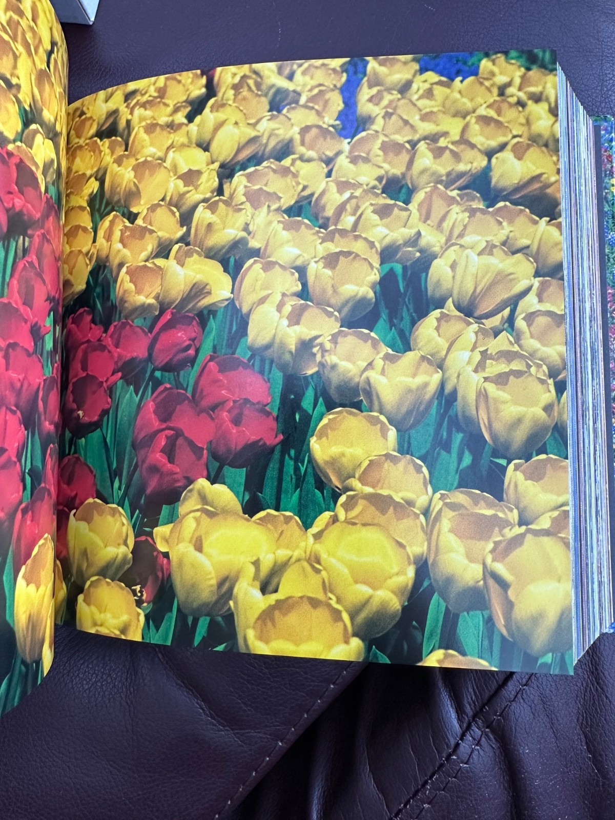 NOS Flowers Cube book Valeria Manferto De Fabianis Hardback 736 page color photo