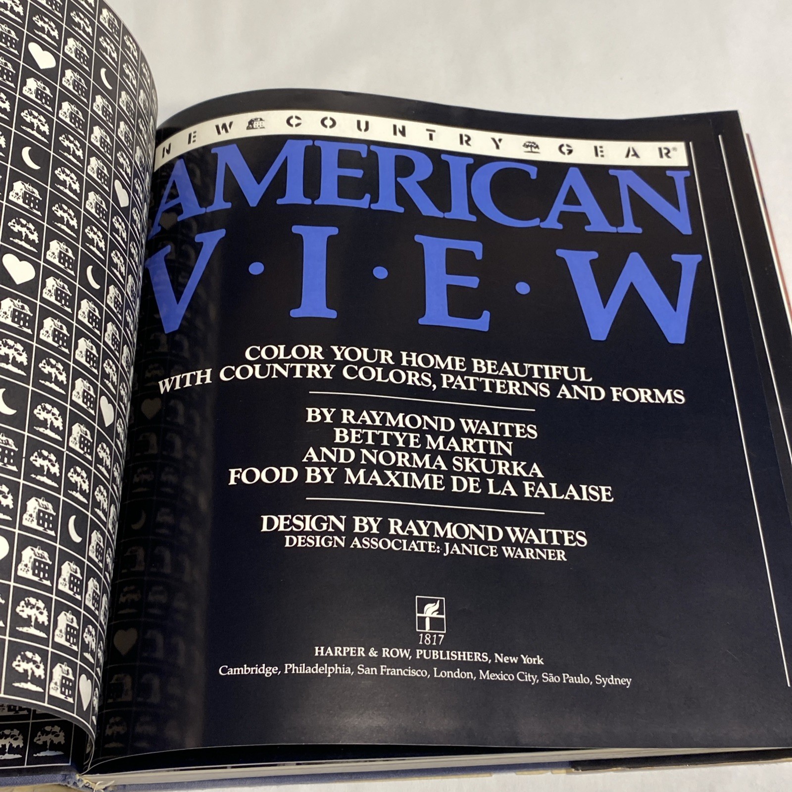 AMERICAN VIEW By Raymond Waites & Bettye Martin – Hardcover Excellent Condition