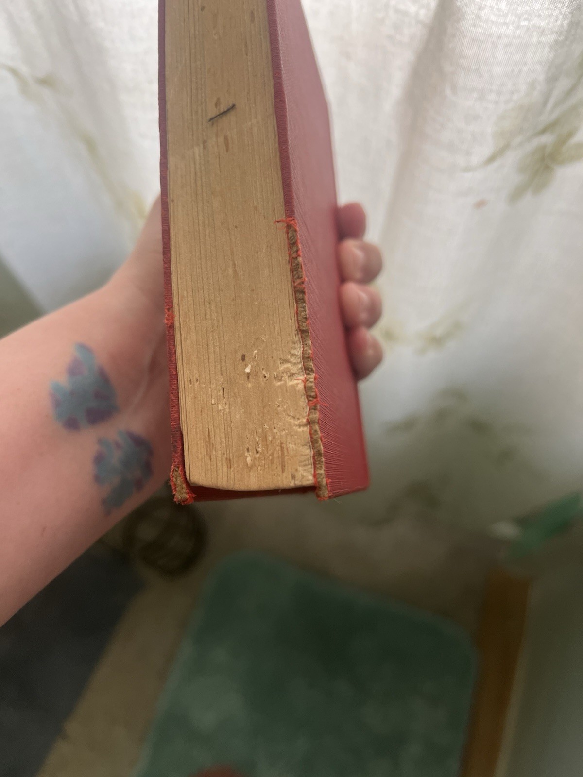 Astrology by M. M. MacGregor (1931) Hardcover, The Penn Publishing Co.