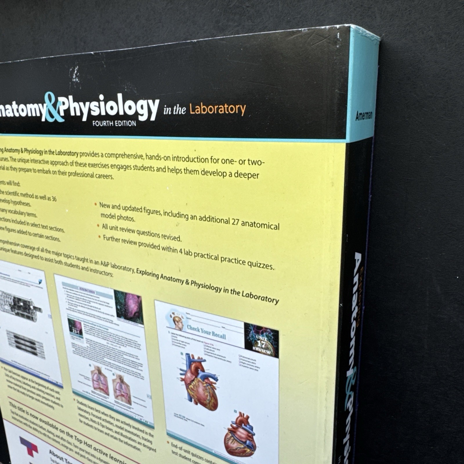 Exploring Anatomy & Physiology in the lab 4th Ed 9781640433984