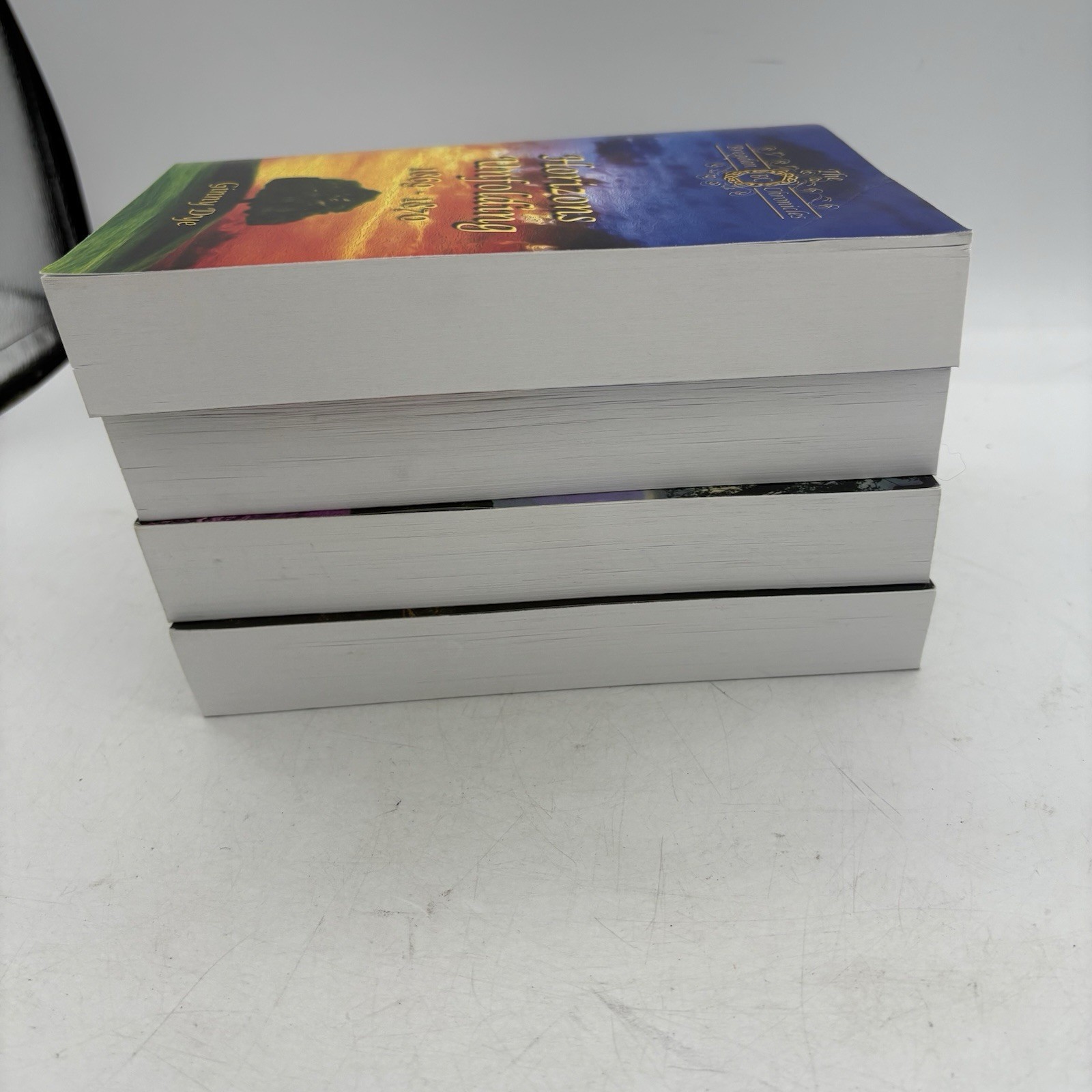 The Bregdan Chronicles Ginny Dye Volumes 9-12 Paperback Civil War Historical Fi