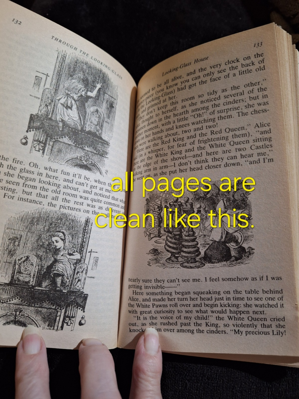 Book~Alice’s Adventure In Wonderland & Through The Looking Glass~Lewis Carroll