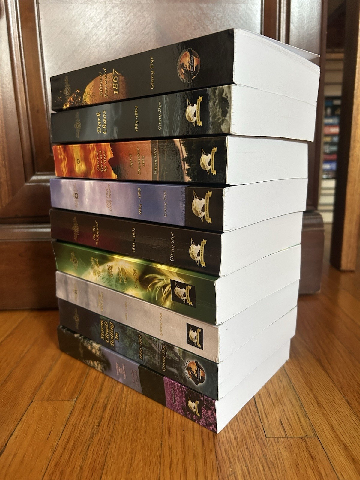BIG Lot Of 9 The BREGDAN CHRONICLES Ginny Dye Books In Good Condition- 1-6, 8-10