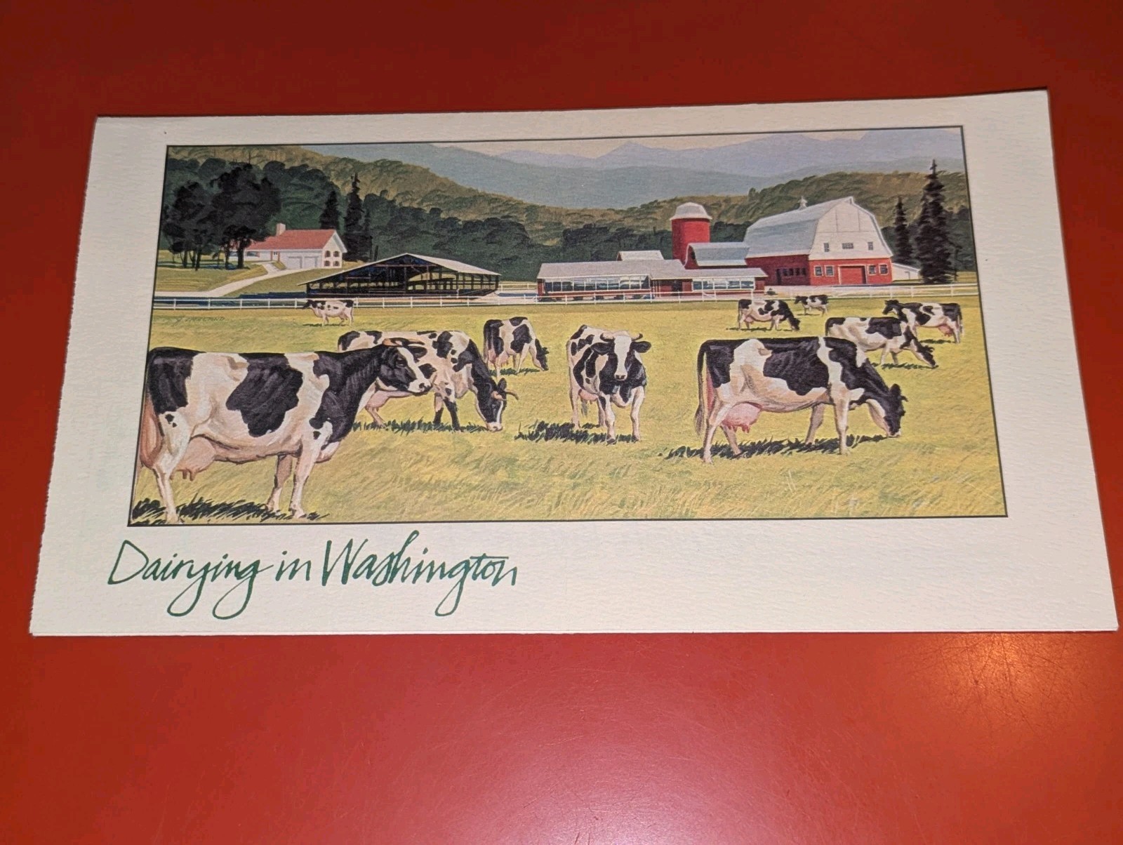 Dairying in Washington State Farming Cows Brochure Pamphlet VTG Ad