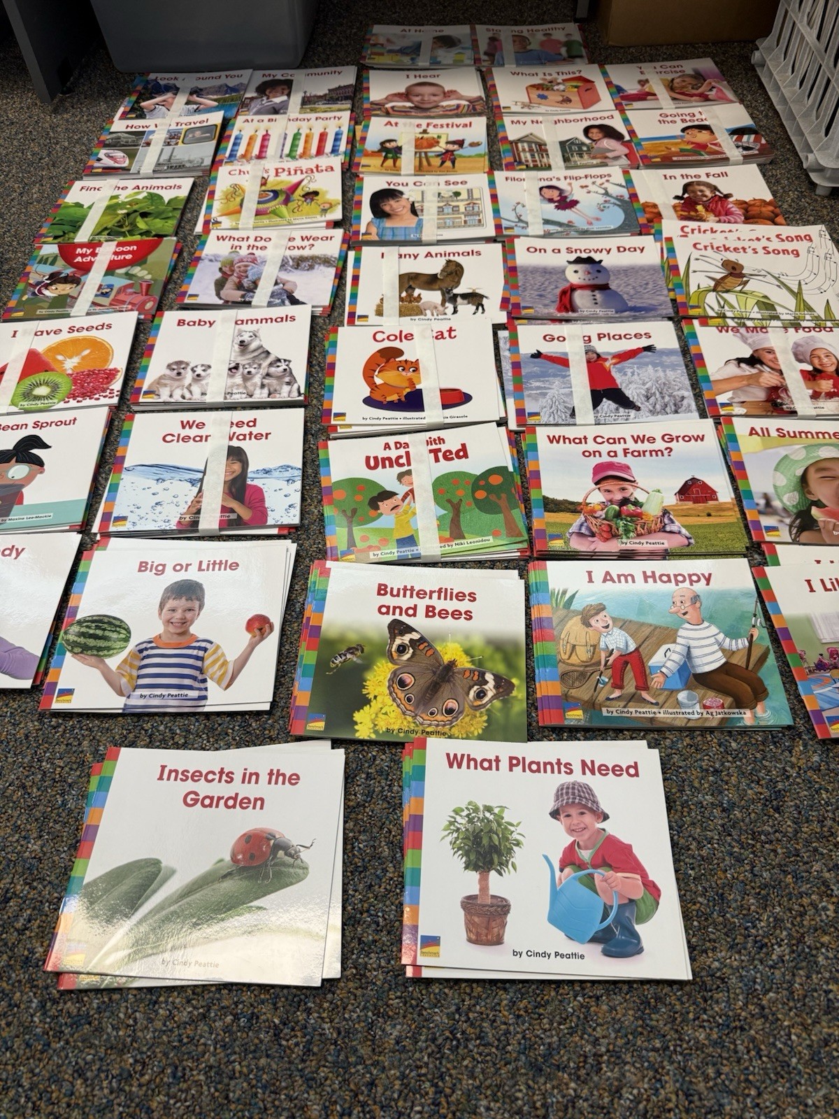 * Lot Of 39 Decodable Books – Ready To Advance,Benchmark Education