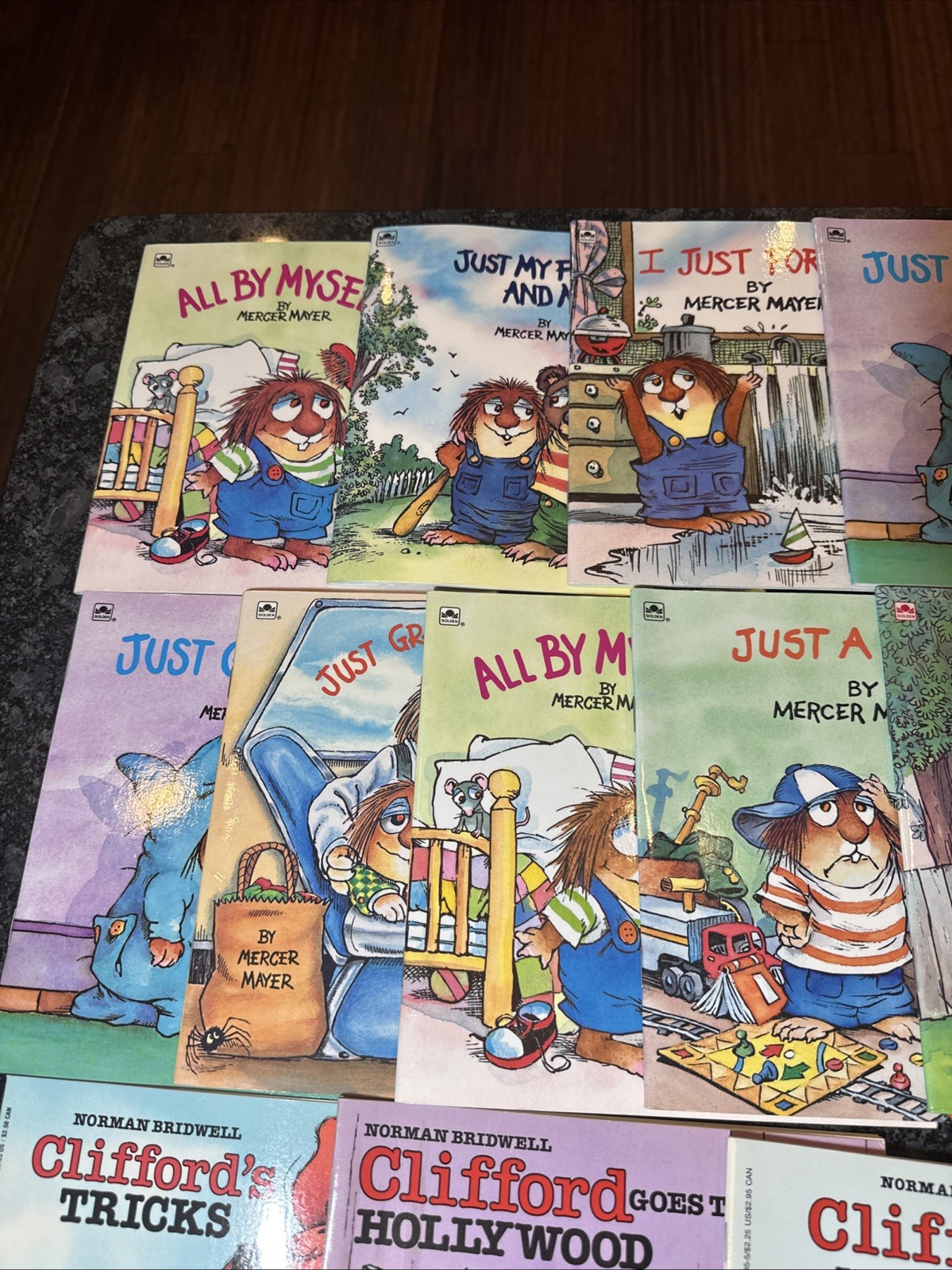 Lot of 11 Little Critter Mercer Mayer & 8 Clifford Red Dog Books Children Kids