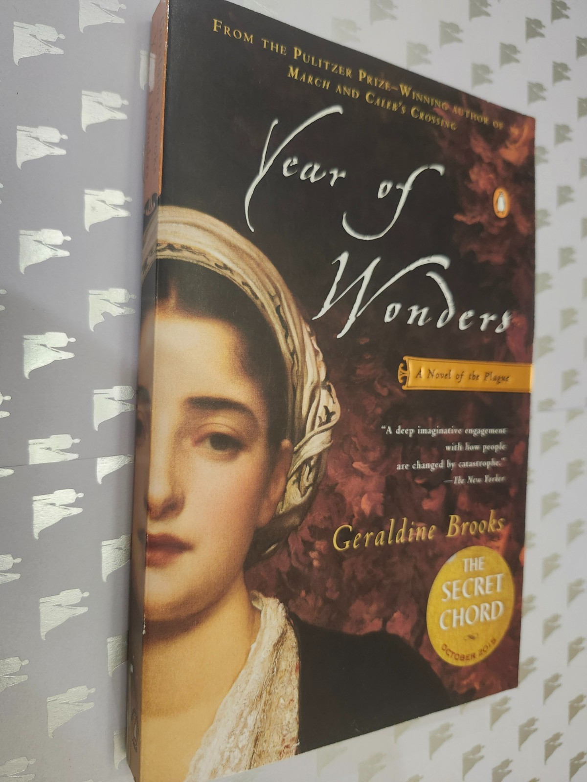 Year of Wonders : A Novel by Geraldine Brooks (2002, Trade Paperback)