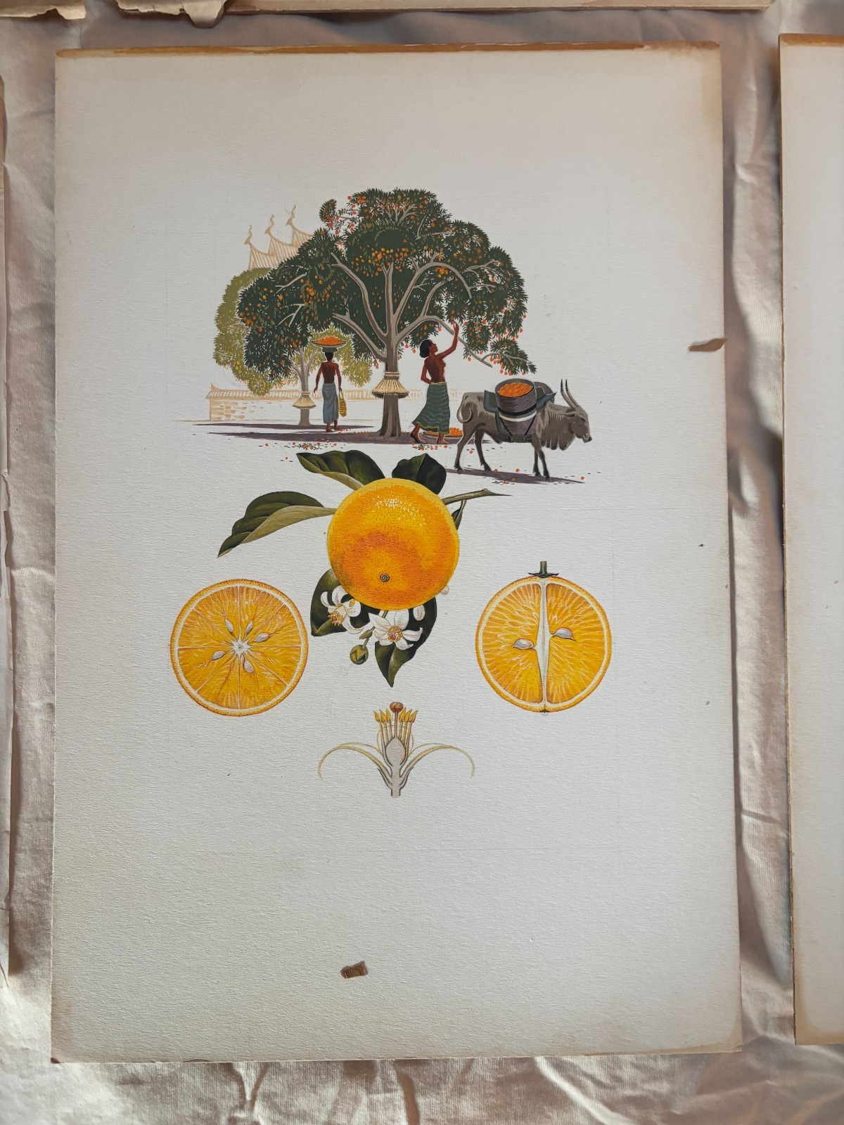 ORIGINAL RALPH RAY JR 1950 WATERCOLOR PAINTINGS DRAWINGS NORTH CAROLINA ARTIST