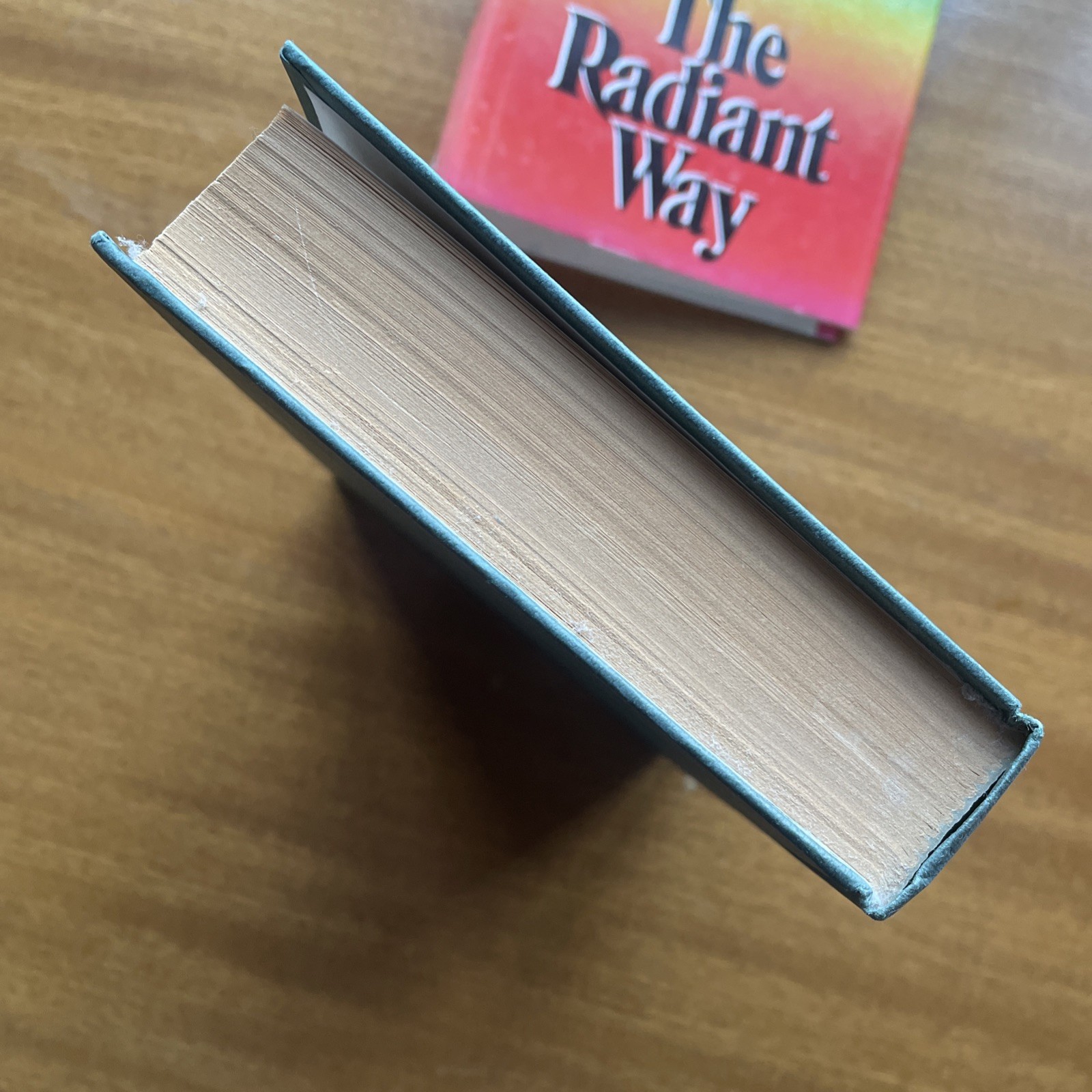 Margaret Drabble ‘The Radiant Way’ Signed Hardback First Edition w/ Dust Jacket
