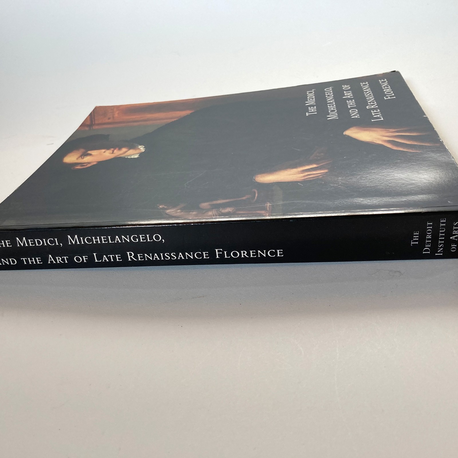 The Medici, Michelangelo, Art of Late Renaissance Florence 381 Pages
