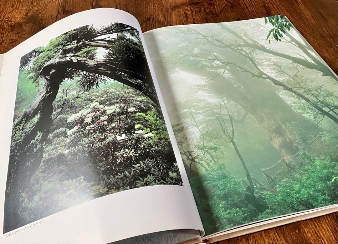 Yakushima Forests Water Mountains Kizo Kushita Out of Print First Edition