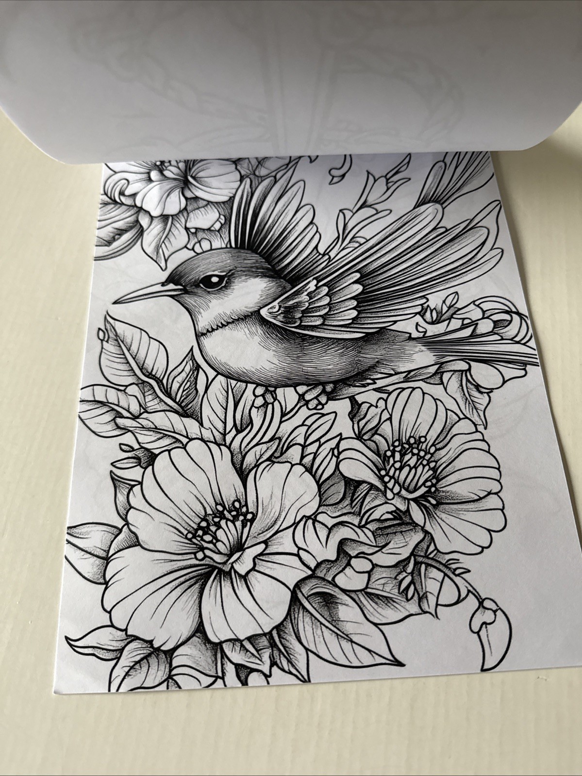 8 1/2 x 11 1/2 adult coloring book Tattoo NEW Shipping Included