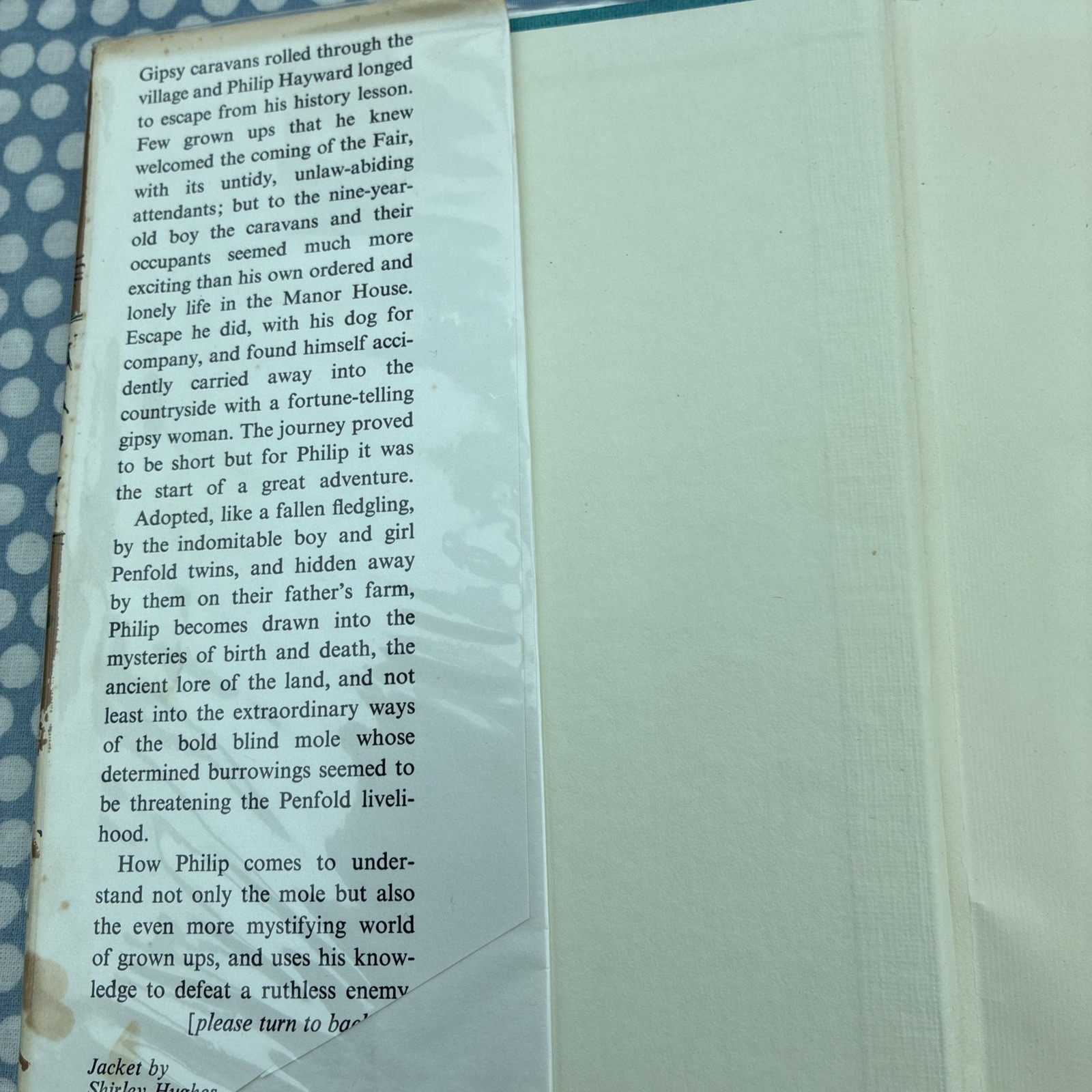 Spectacles For The Mole by Olive Dehn 1968 1st Edition Hardback In Dustjacket