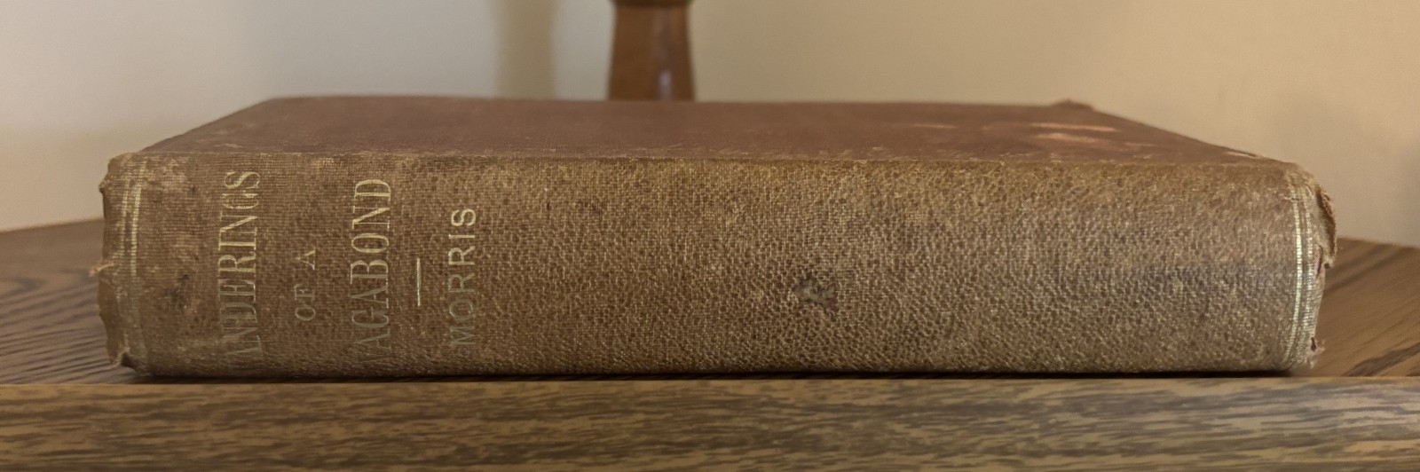 Wanderings of a Vagabond by John Morris 1873 – First edition – Extremely rare