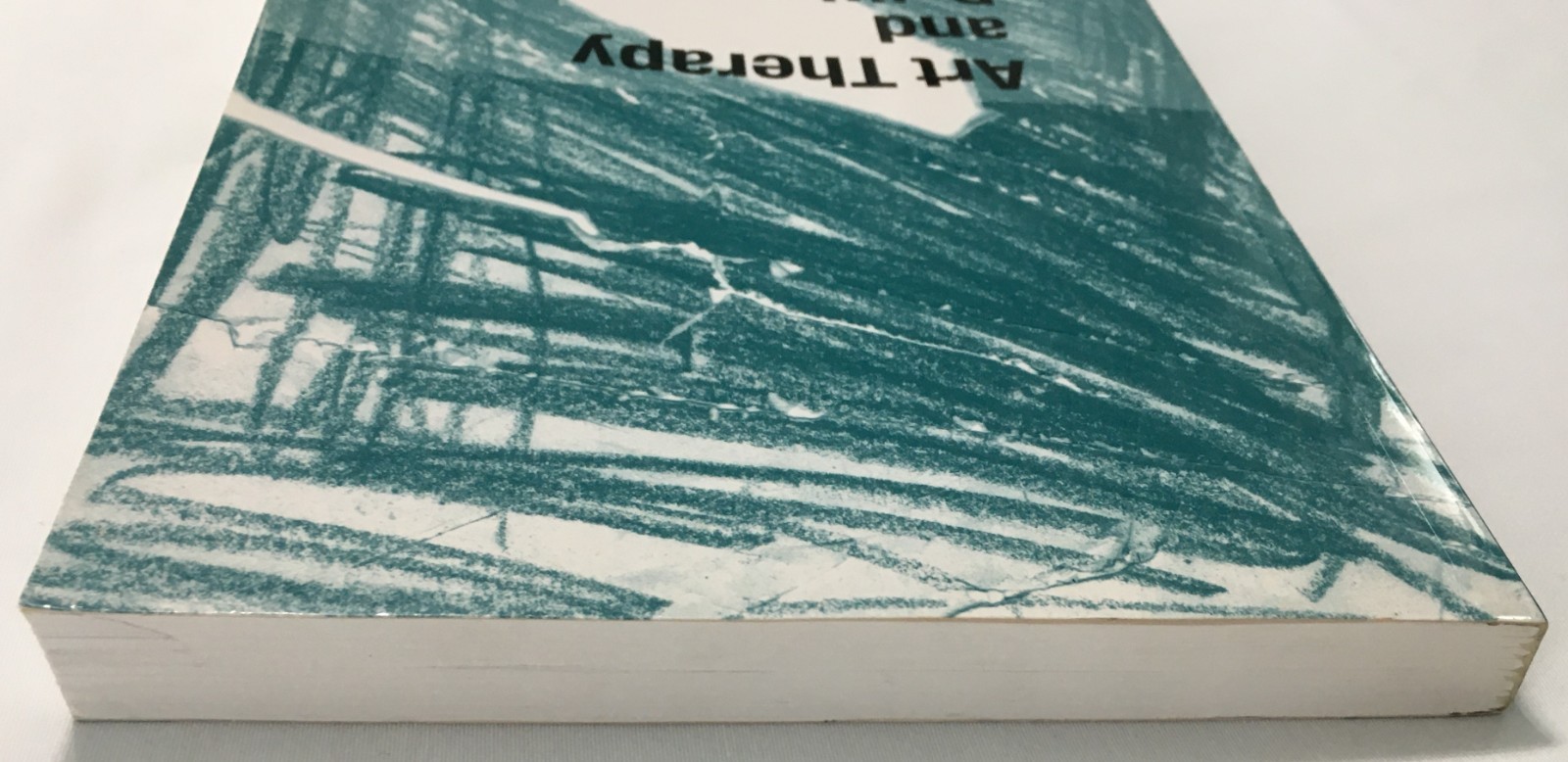 Art Therapy and Political Violence: With Art, Without Illusion Book Kalmanowitz