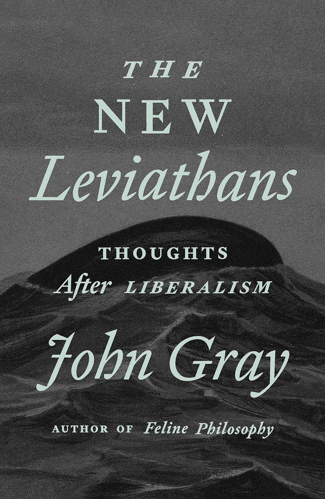 The New Leviathans: Thoughts After Liberalism – hardcover Gray, John