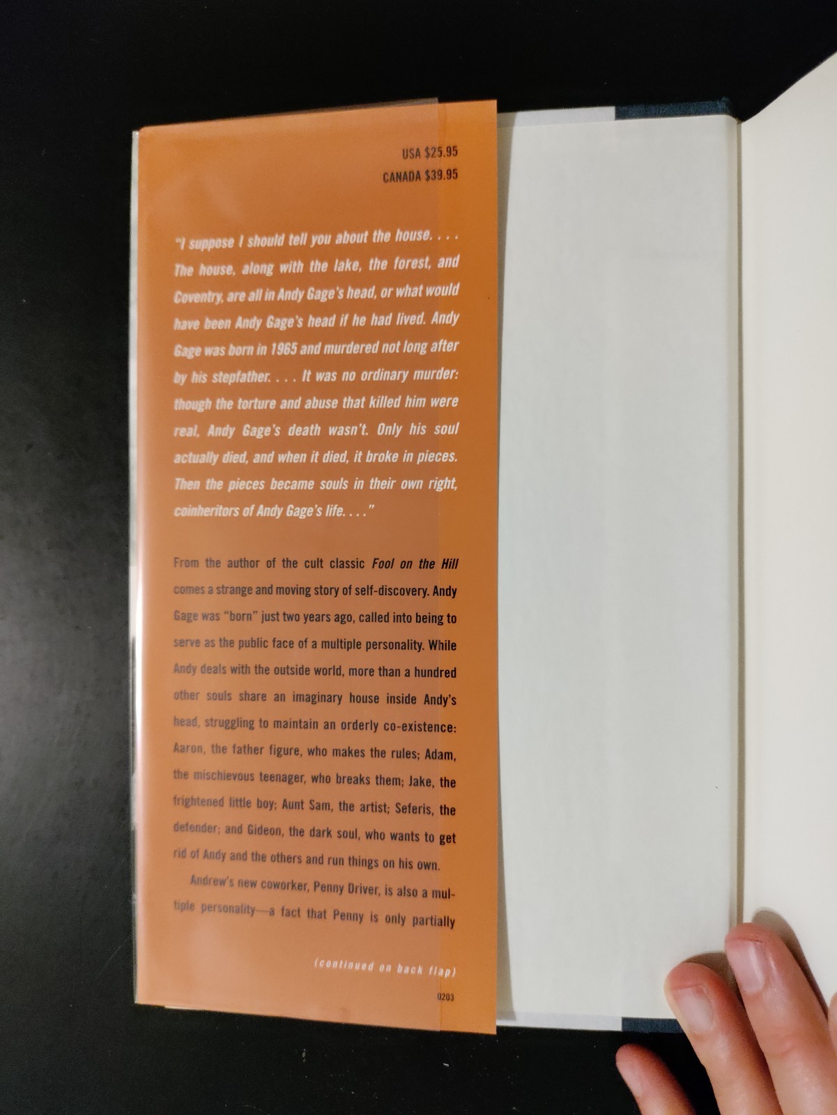 Set This House in Order by Matt Ruff 2003 HCDJ First Edition/1st Printing