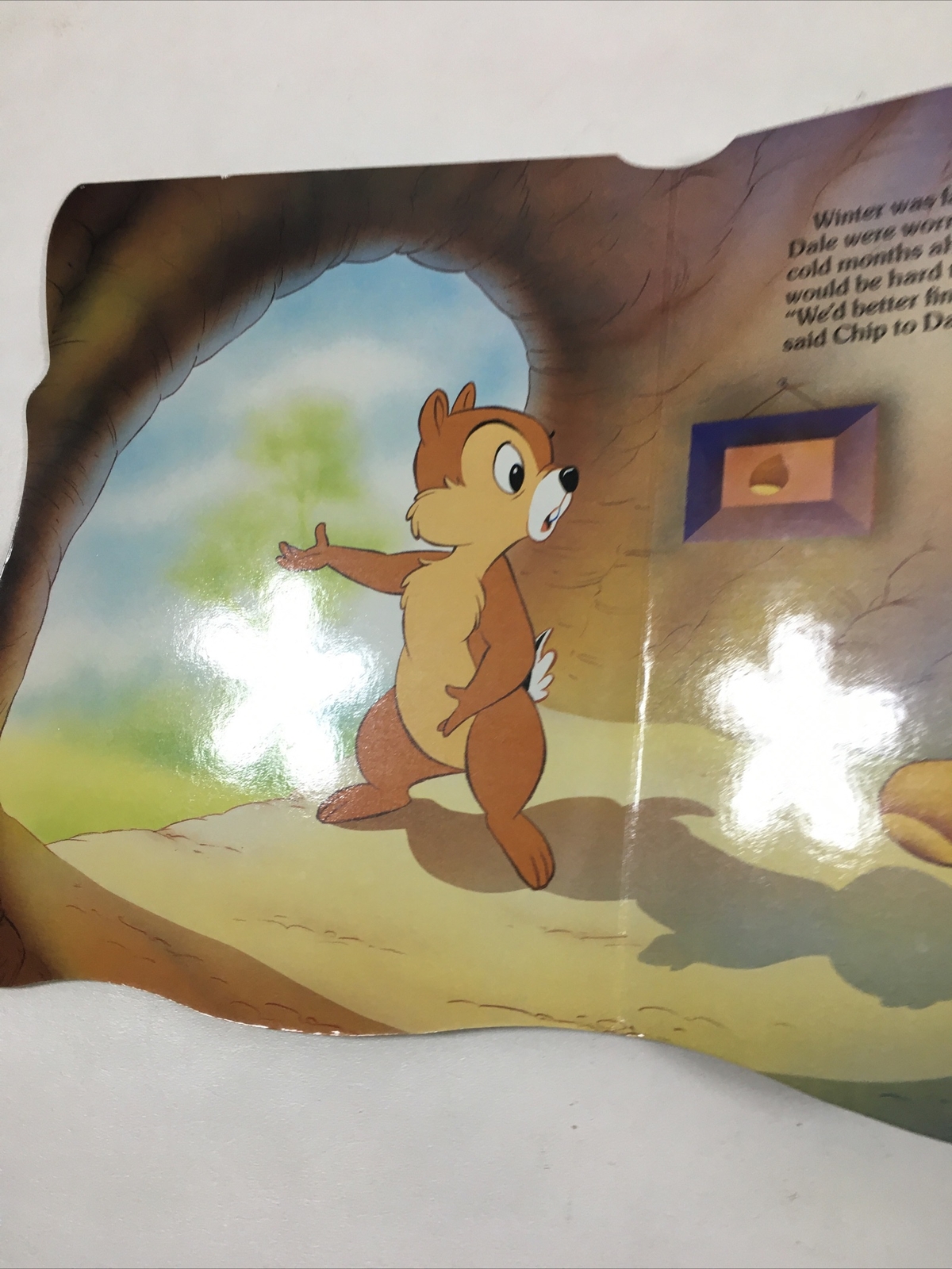 Chip ‘n’ Dale and the Bear – Disney (1989, Hardcover)