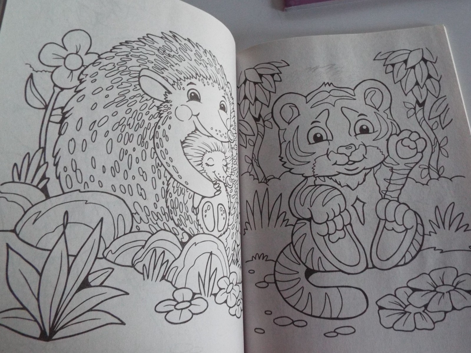 2: Disney Animal Friends Jumbo Coloring &Activity Book & Dreamtivity Stay Wild