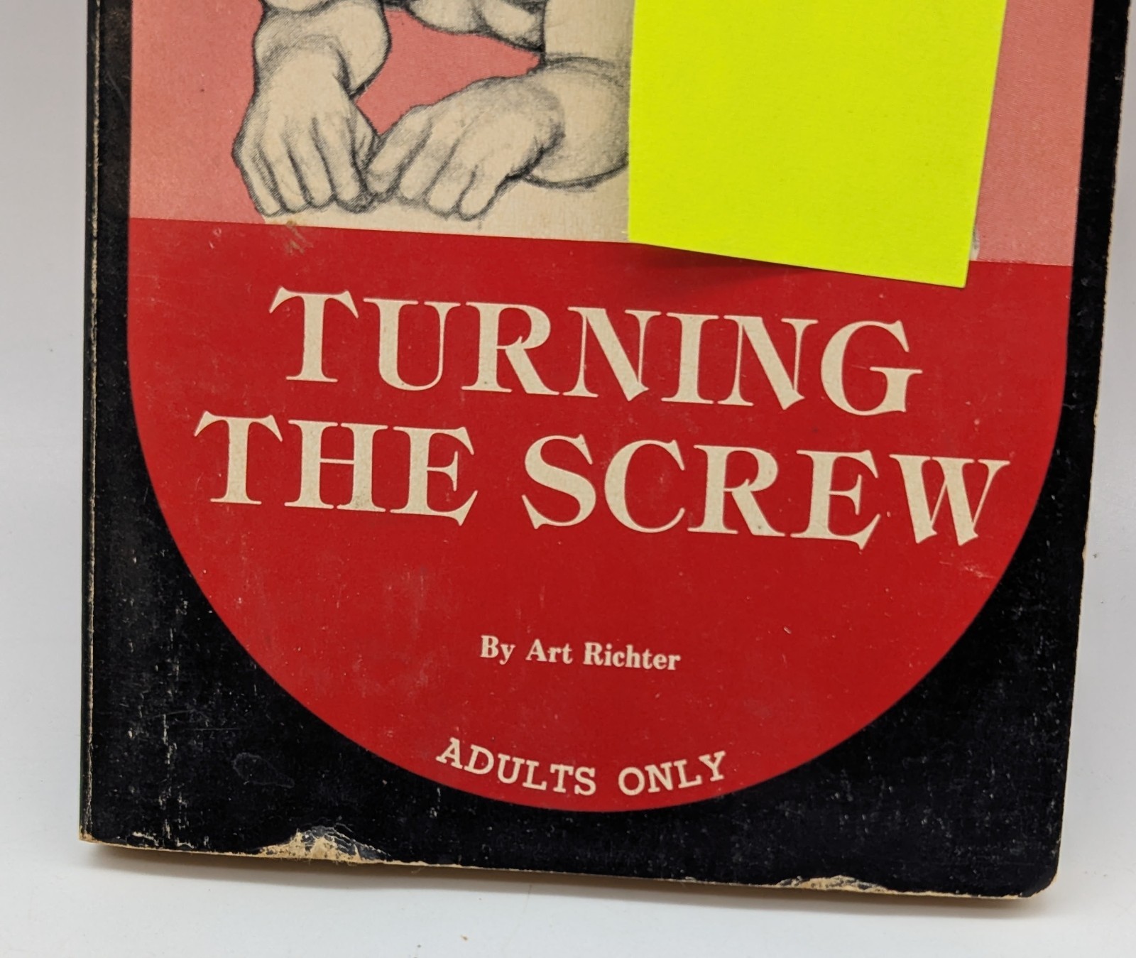 1975 Turning the Screw Art Richter HIS69130 His 69 Surrey House Gay Paperback