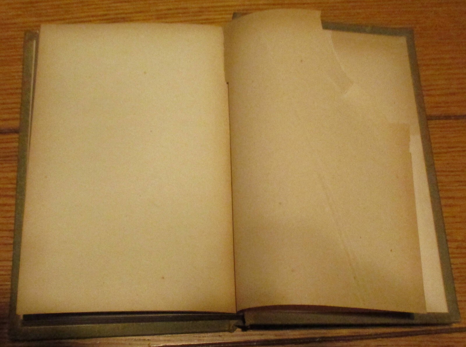 Vintage Susan Drummond “A Novel” by Mrs. J. H. Riddell H/C 299 Pages RARE