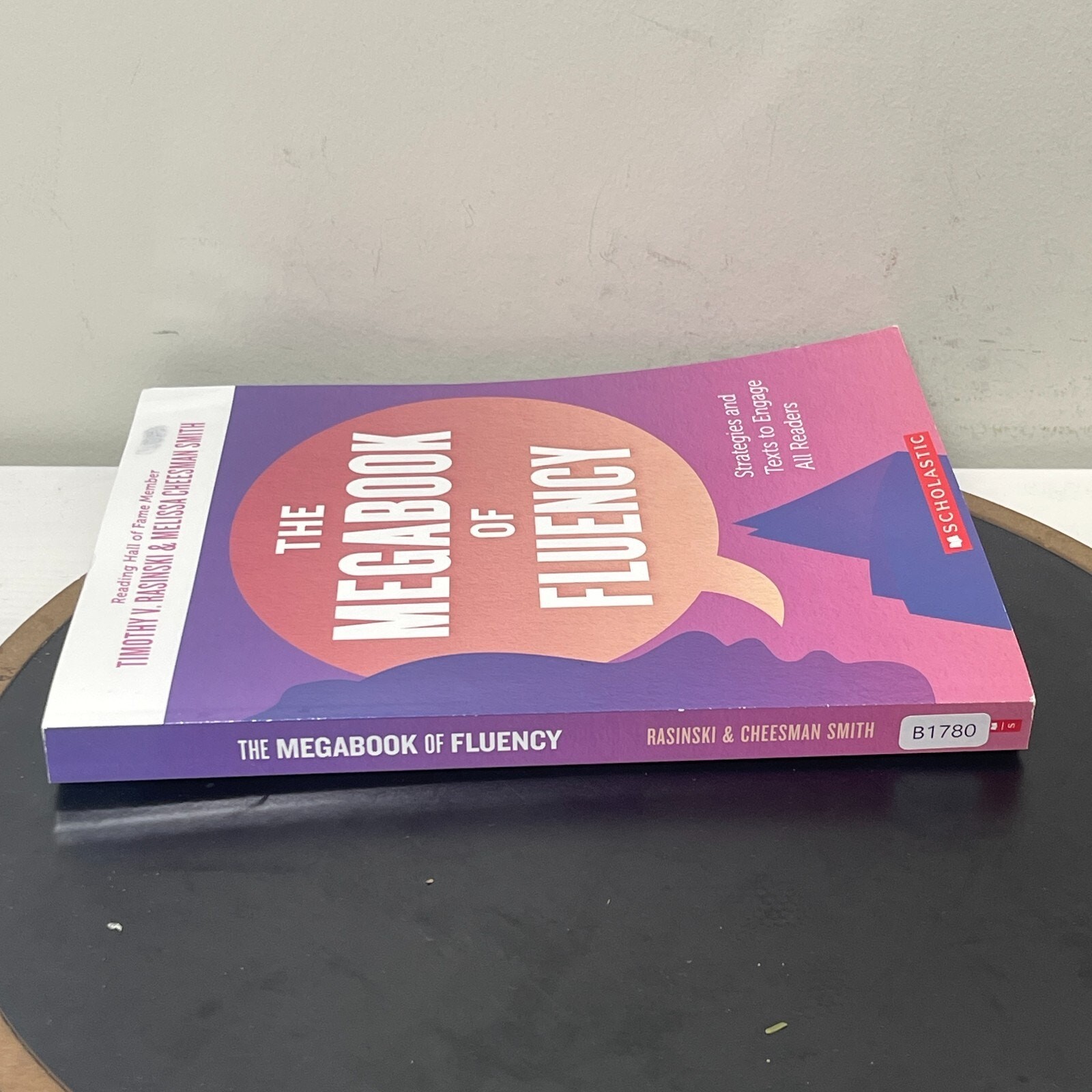 The Megabook of Fluency by Timothy V. Rasinski;Melissa Cheesman Smith