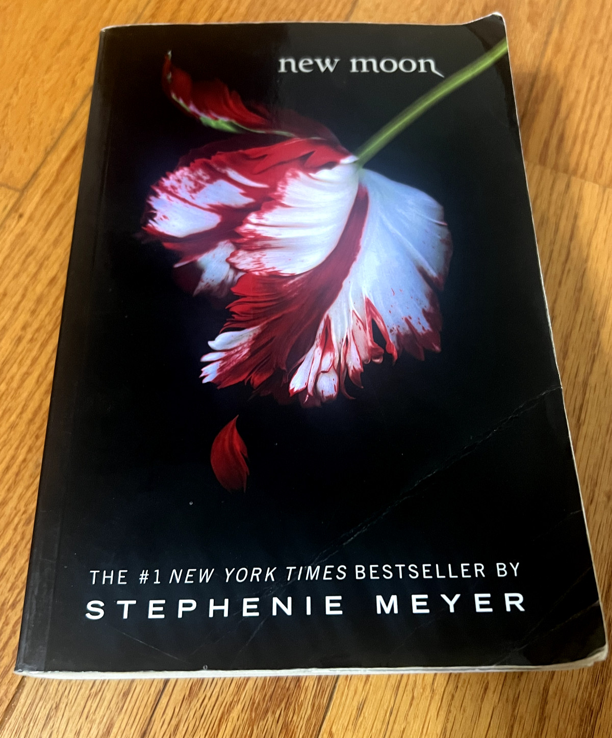 The Twilight Saga Ser.: New Moon by Stephenie Meyer (2008, Trade Paperback)
