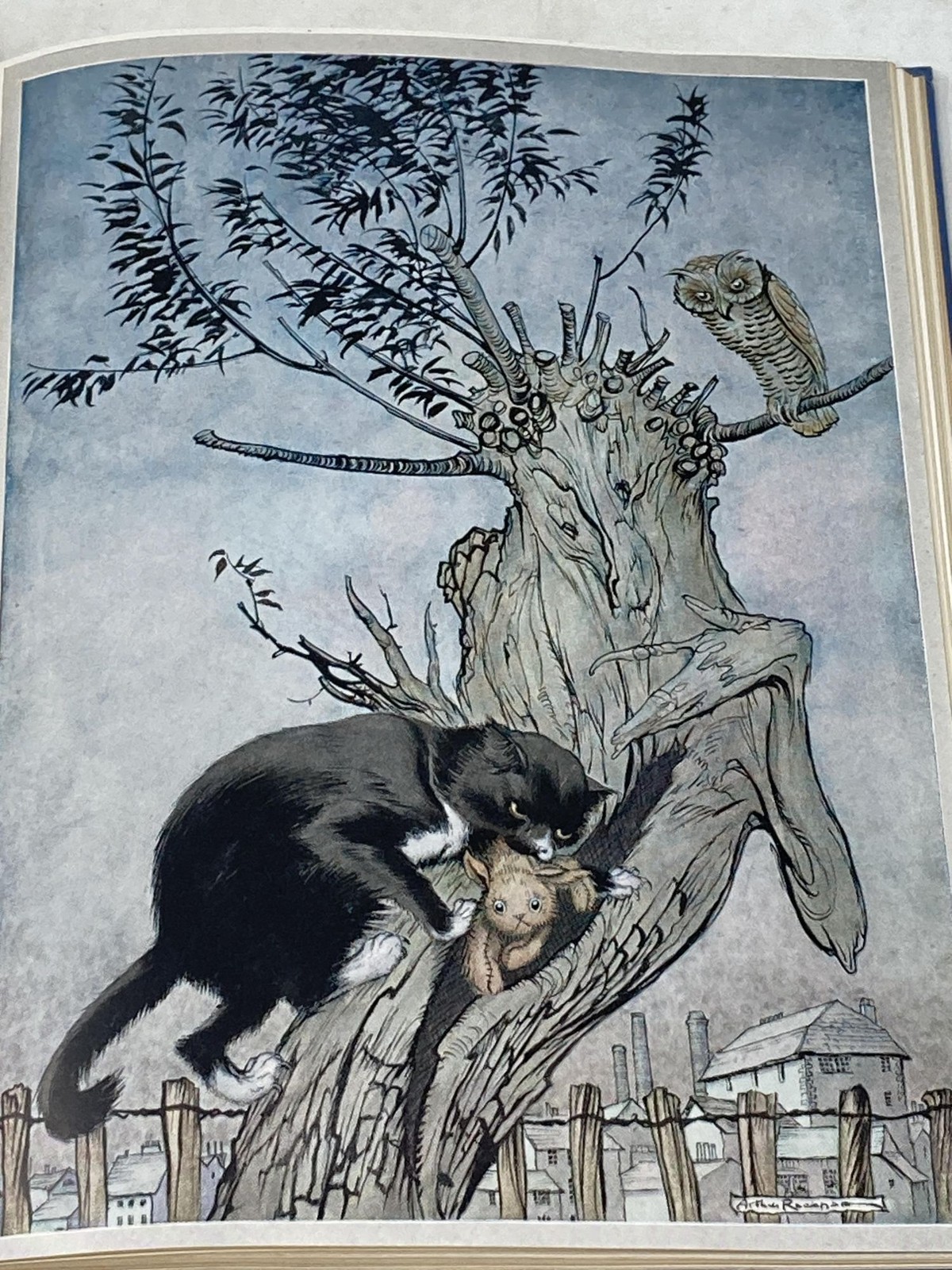 Margery Williams Bianco / POOR CECCO THE WONDERFUL STORY OF WONDERFUL WOODEN 1st