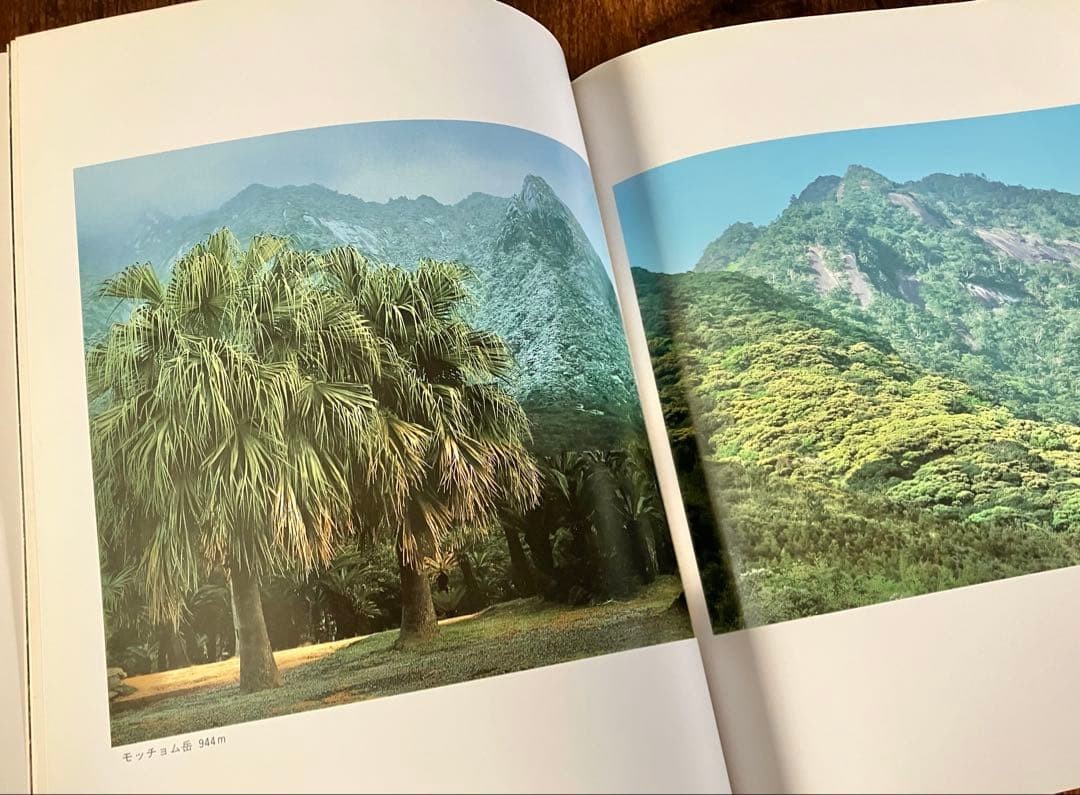 Yakushima Forests Water Mountains Kizo Kushita Out of Print First Edition