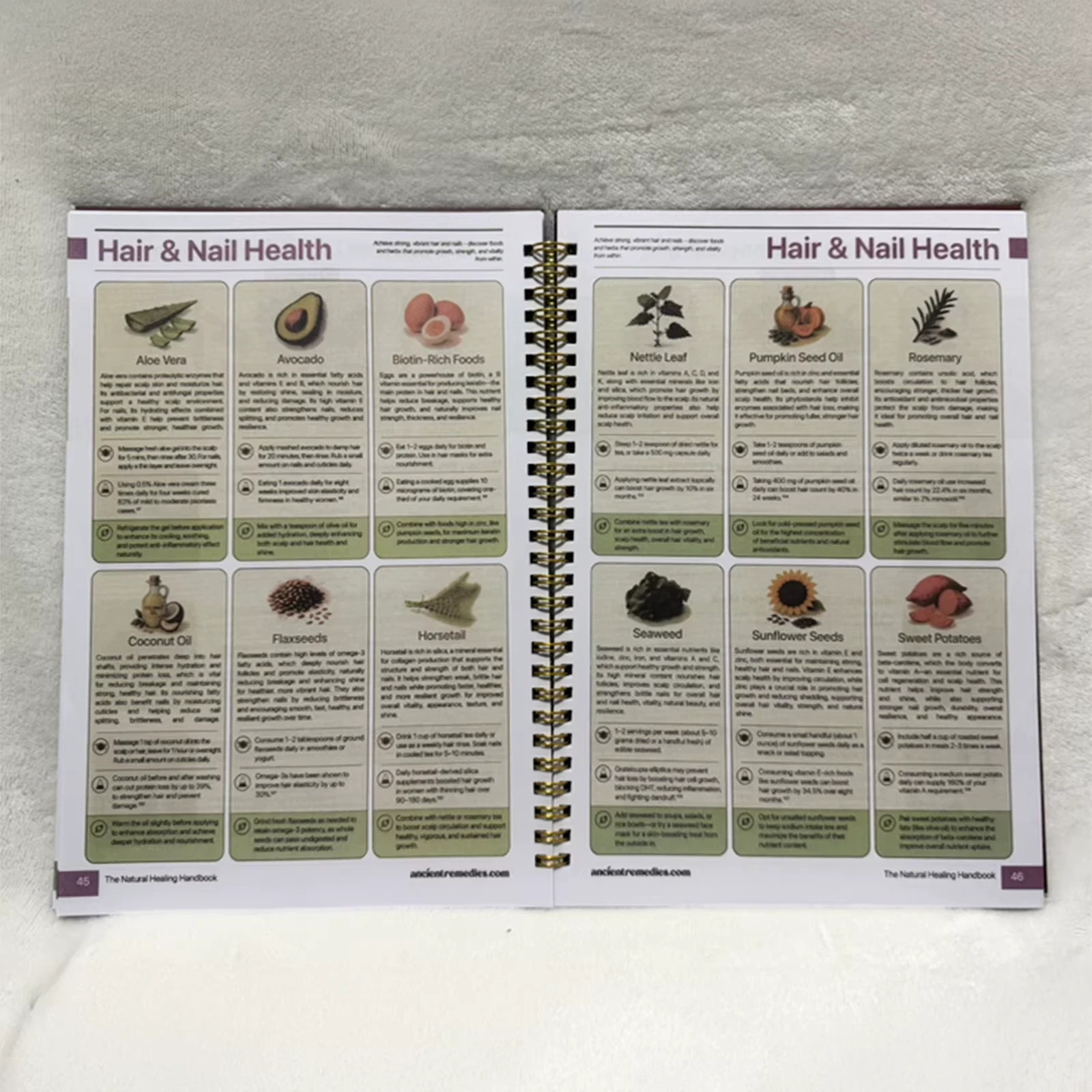 The Natural Healing Handbook – Spiral Bound | Herbal Remedies & Wellness Recipes