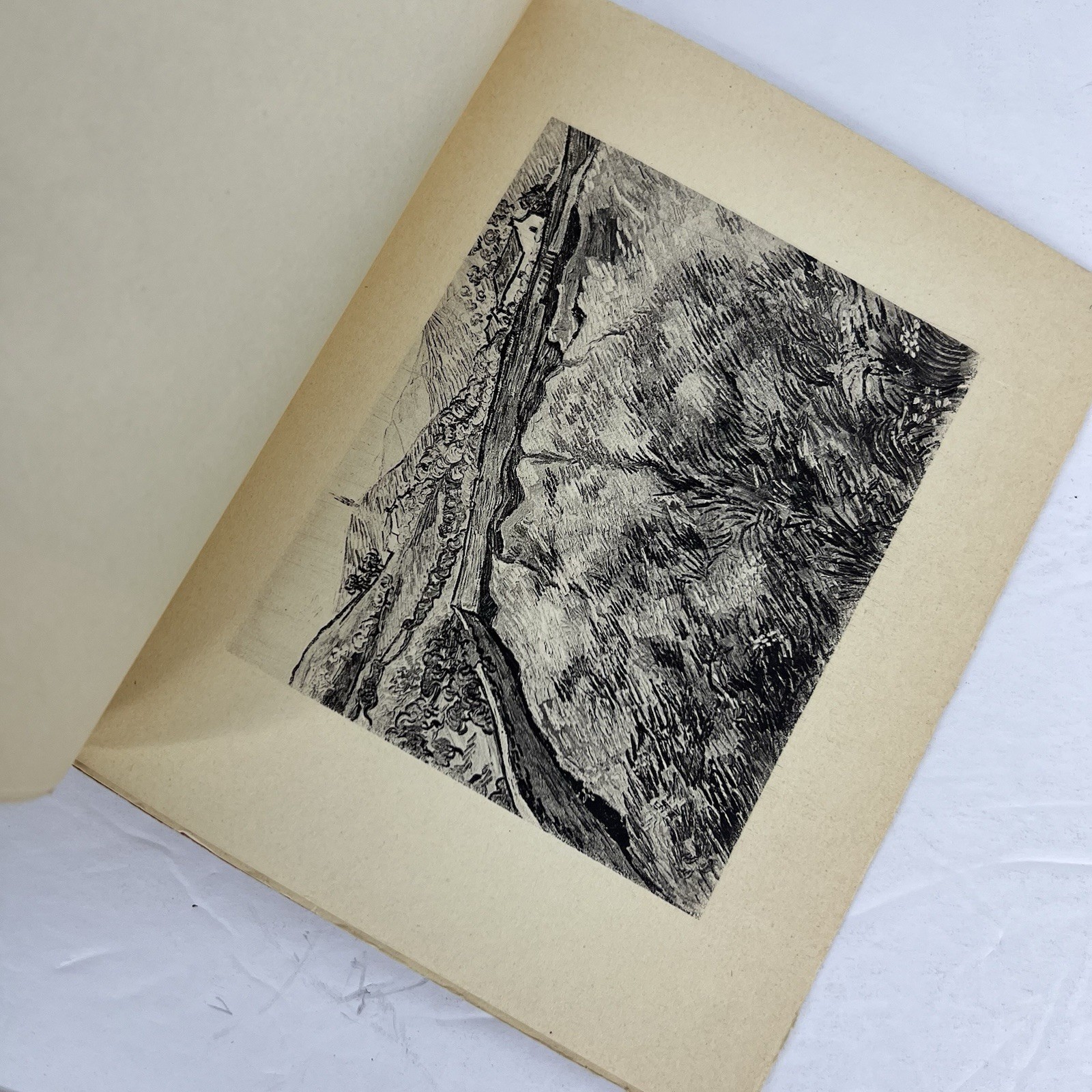 Vintage 1925 Van Gogh by Paul Colin French Art Book 40 Heliogravure Plate Paris