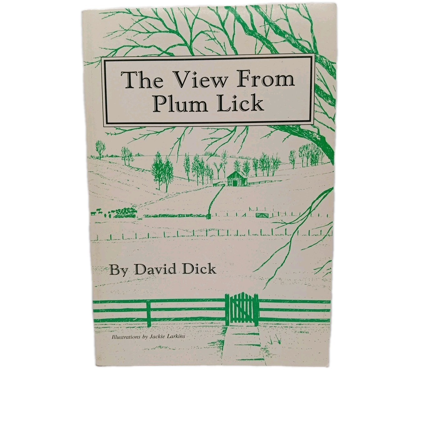 Signed The View From Plum Lick David Dick 1992 Kentucky Memoir CBS News Anchor