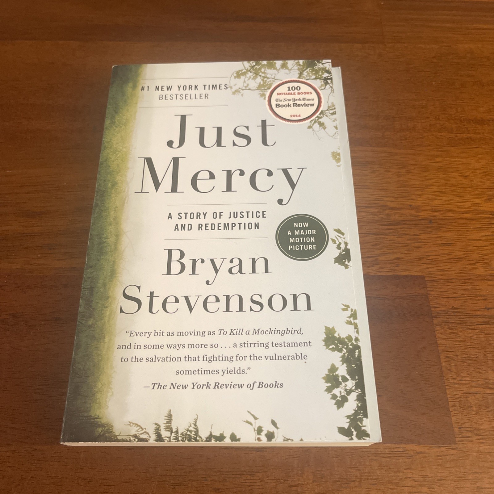 Just Mercy : A Story of Justice and Redemption by Bryan Stevenson