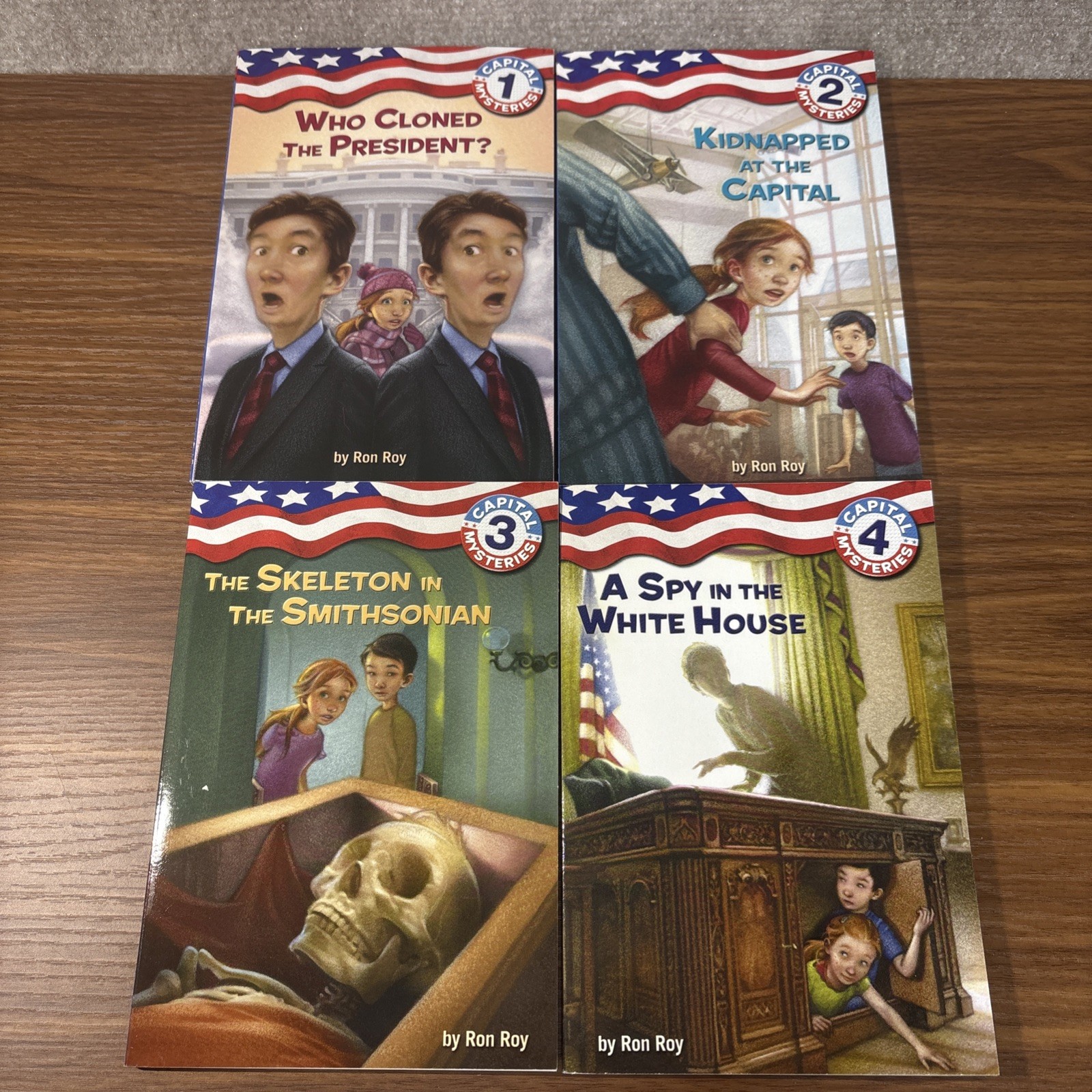 CAPITAL MYSTERIES Ron Roy Chapter Books Incomplete Series Lot 1-4 And 6-14