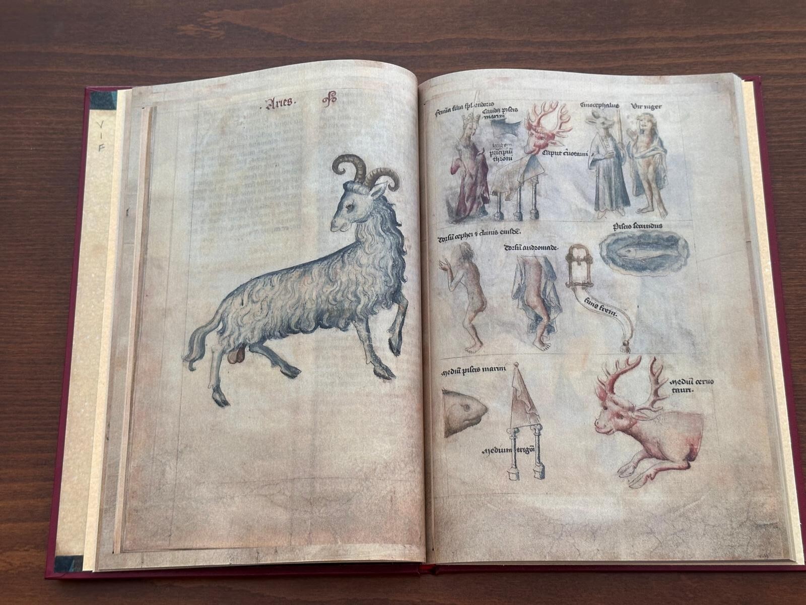 Treatise on Astrology by Albumazar – Liber Astrologiae Leatherbound Facsimile